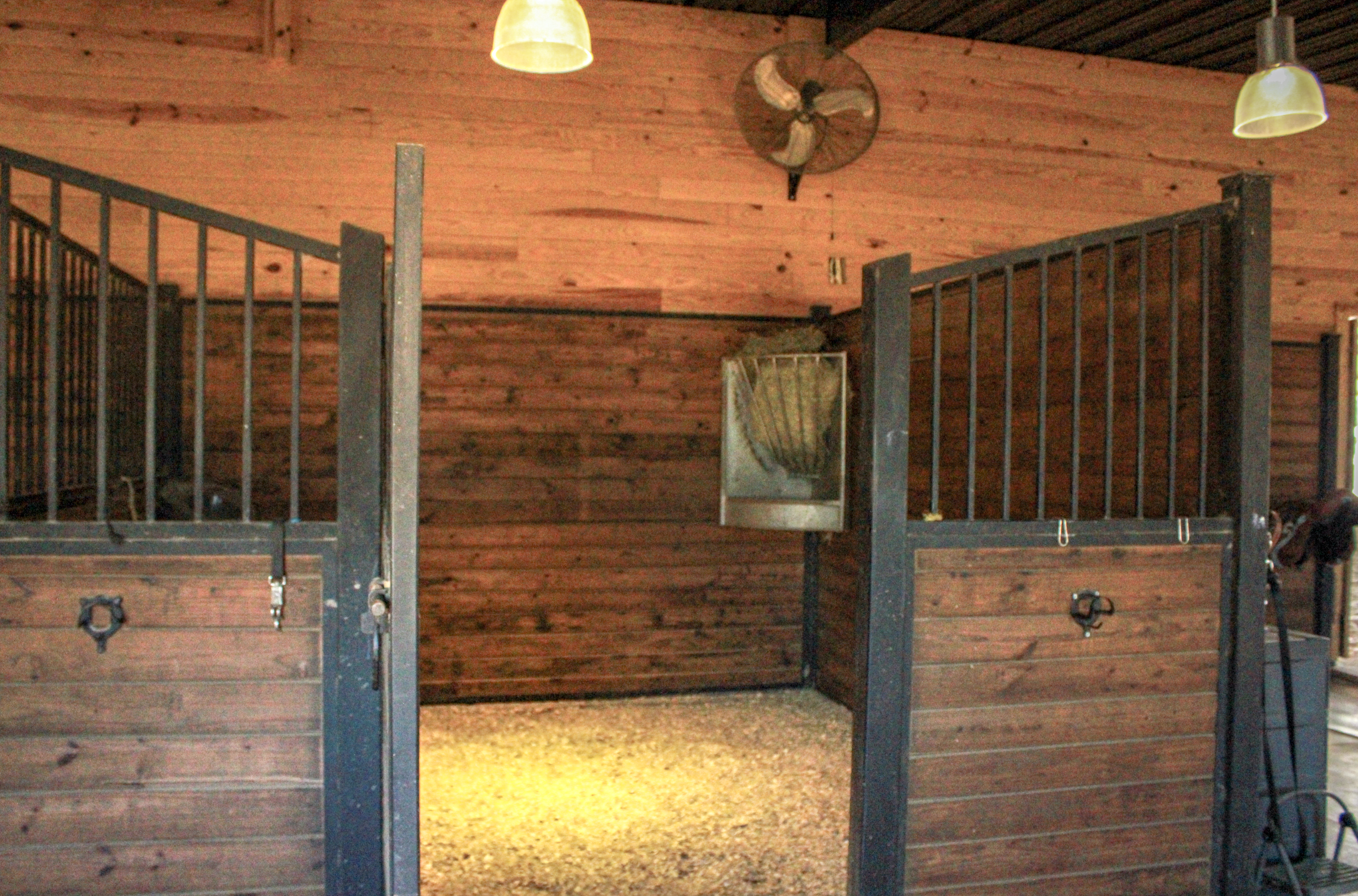 The interior of a horse stable with wooden walls, black metal enclosures, a fan on the wall, a light fixture, and a water bucket.