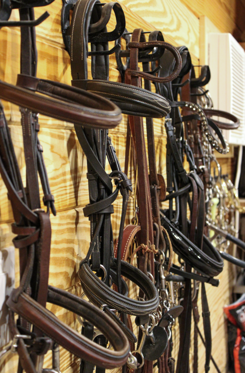 A display of equestrian bridles hanging on a wooden wall.