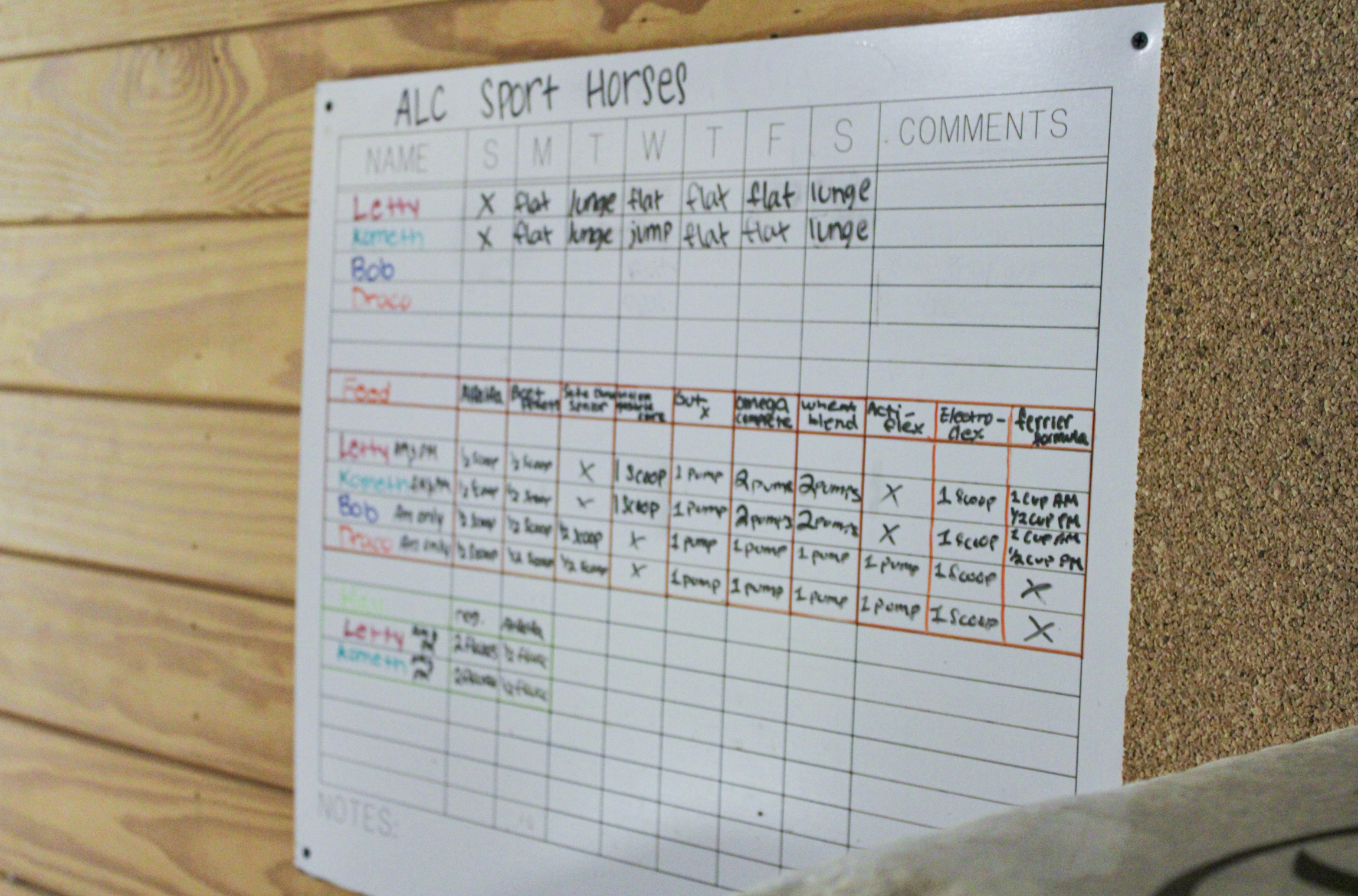 A whiteboard with a schedule for ALC sport horses, including horse names, training activities, and comments. The board has sections for each day of the week and notes at the bottom.