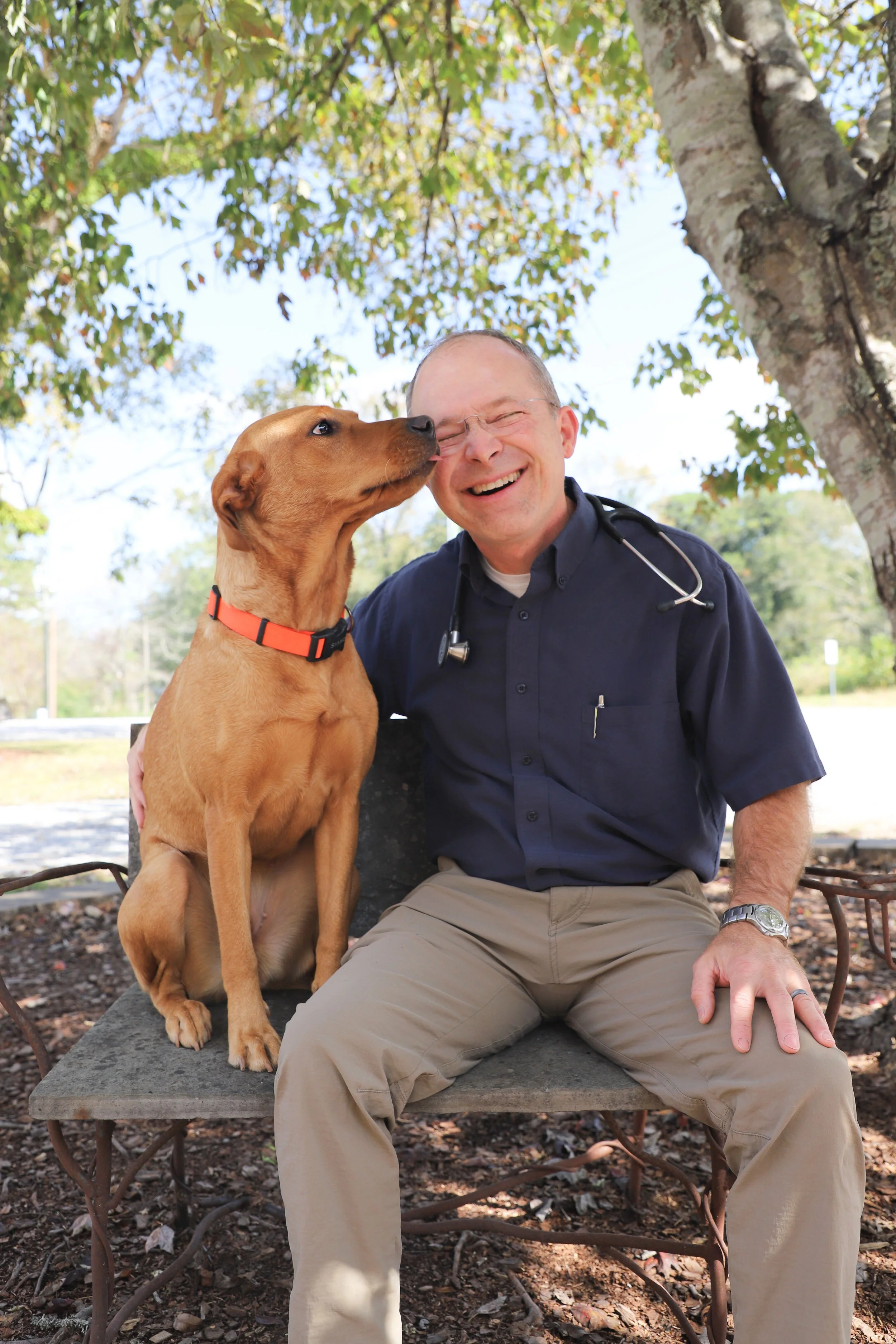 A male veterinarian sitting on a park bench, smiling and laughing as a brown dog licks his face, with trees and a clear blue sky in the background.