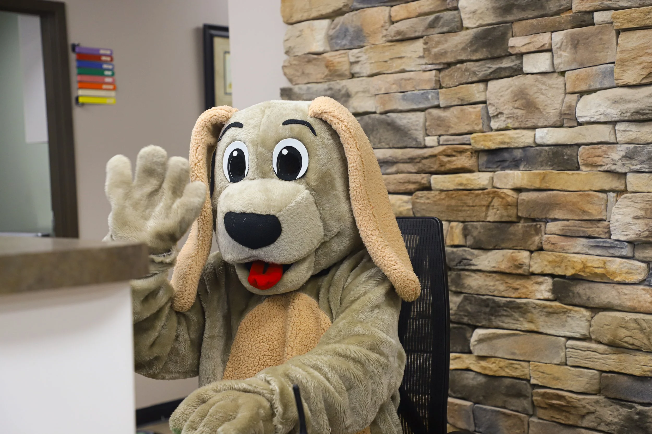 Person dressed in a dog mascot costume sitting at a desk, waving with their right hand inside an office with a stone wall and a window in the background.