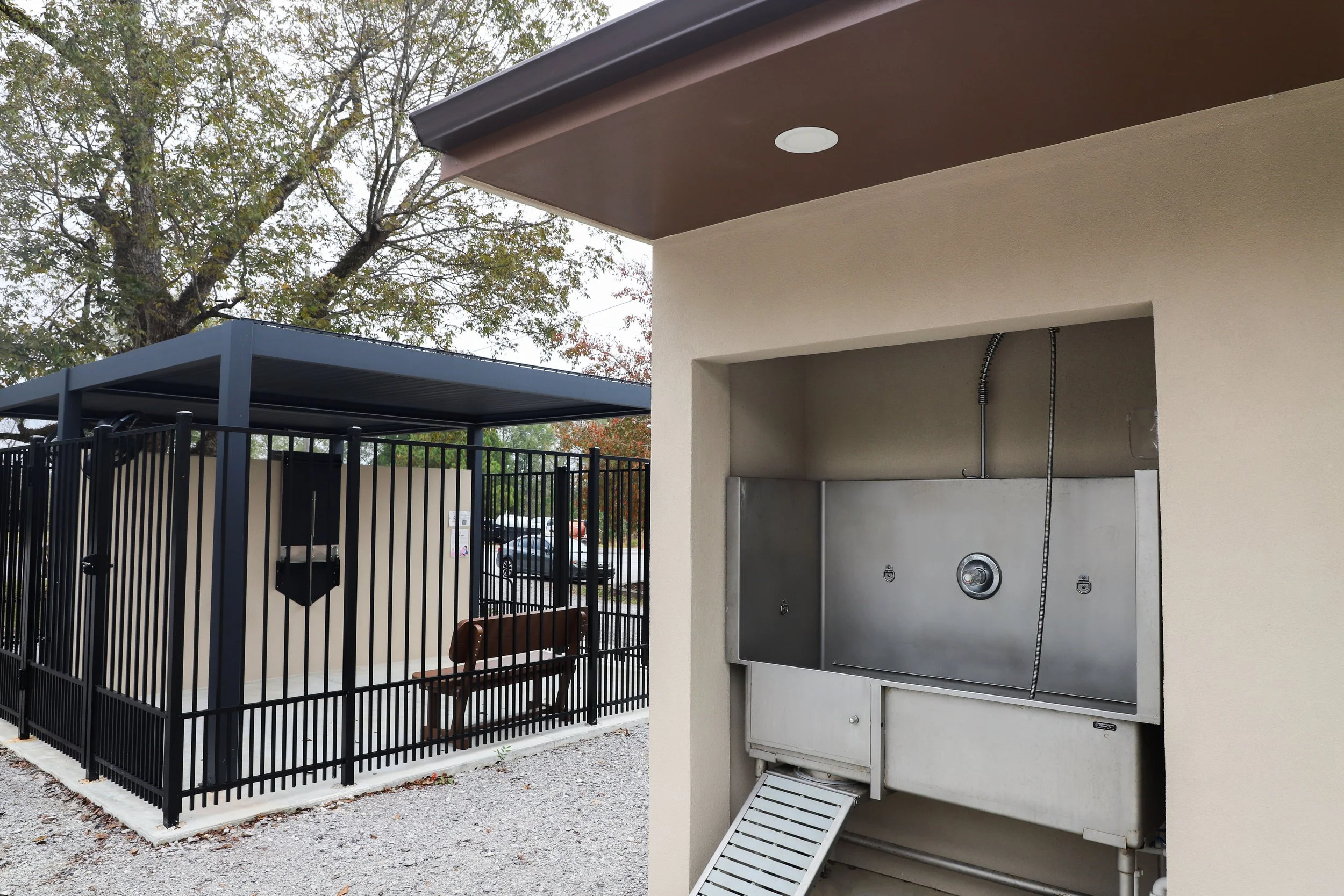 Dog washing station with a large stainless steel sink and a ramp, located outside a building near a fenced area with a bench, trees, and parking lot in the background.