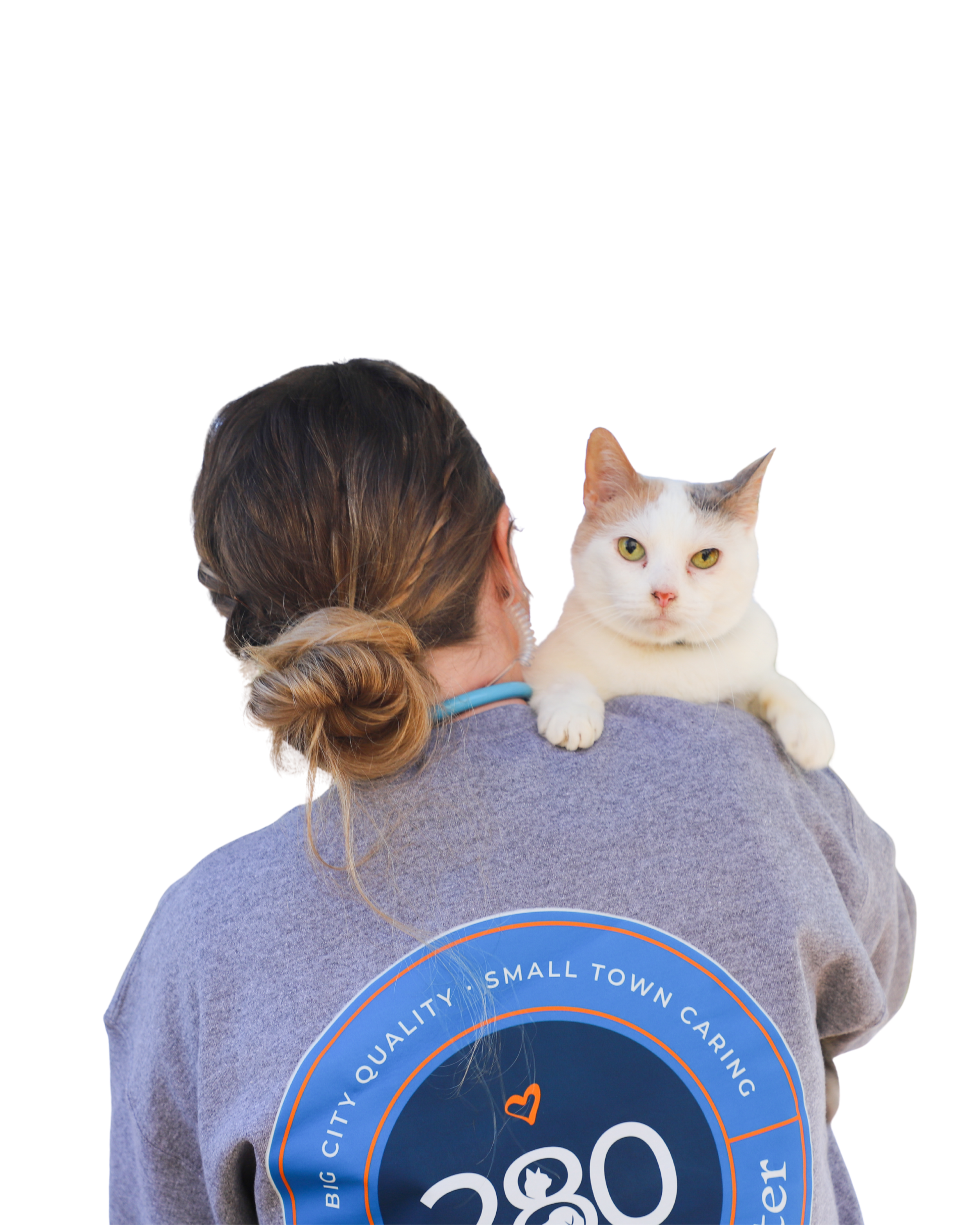 A person with brown hair in a bun holding a white cat with gray markings.
