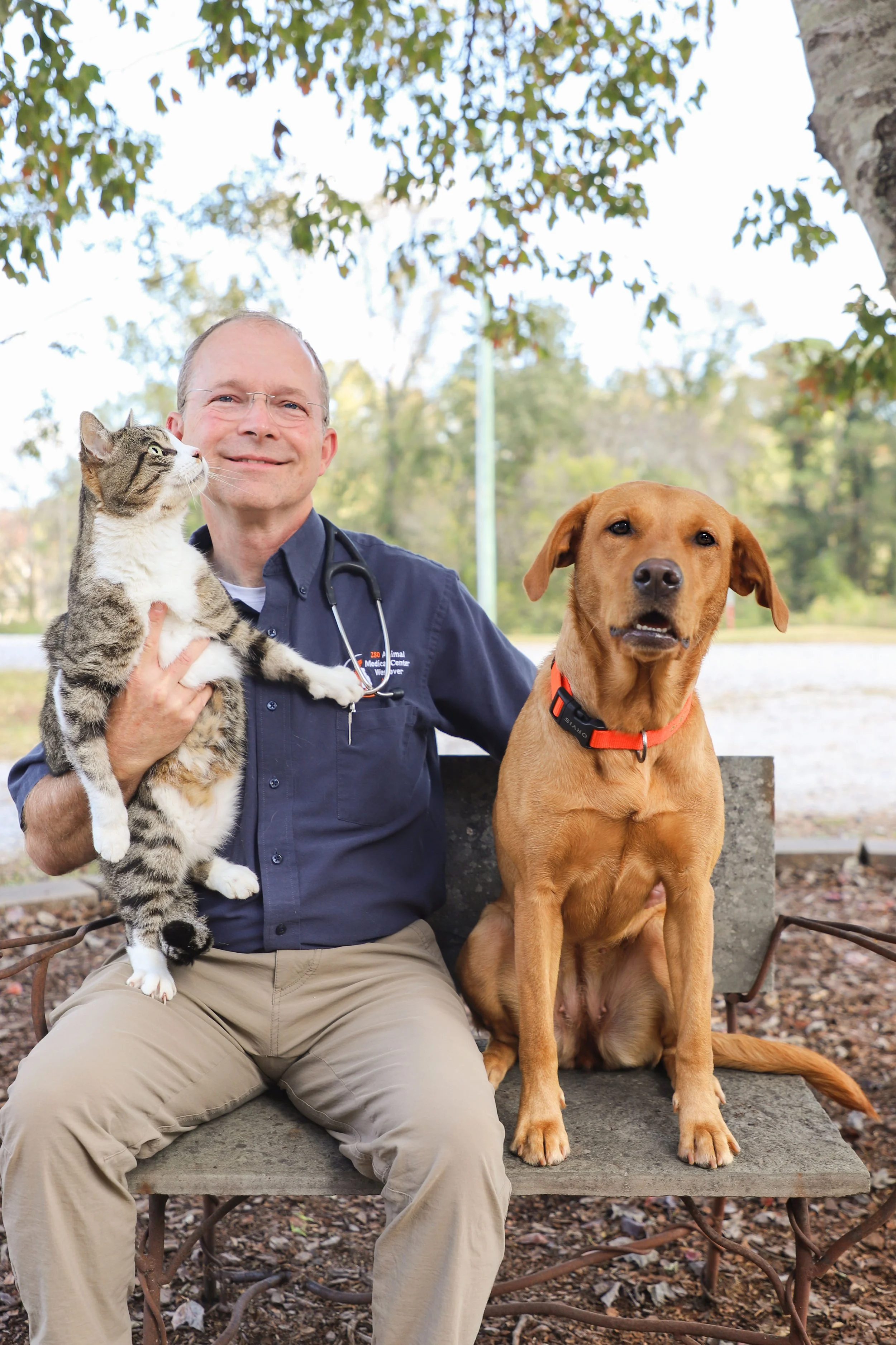 A veterinarian with glasses holding a tabby cat on his lap, sitting on a park bench next to a brown dog with a collar, outdoors with trees in the background.