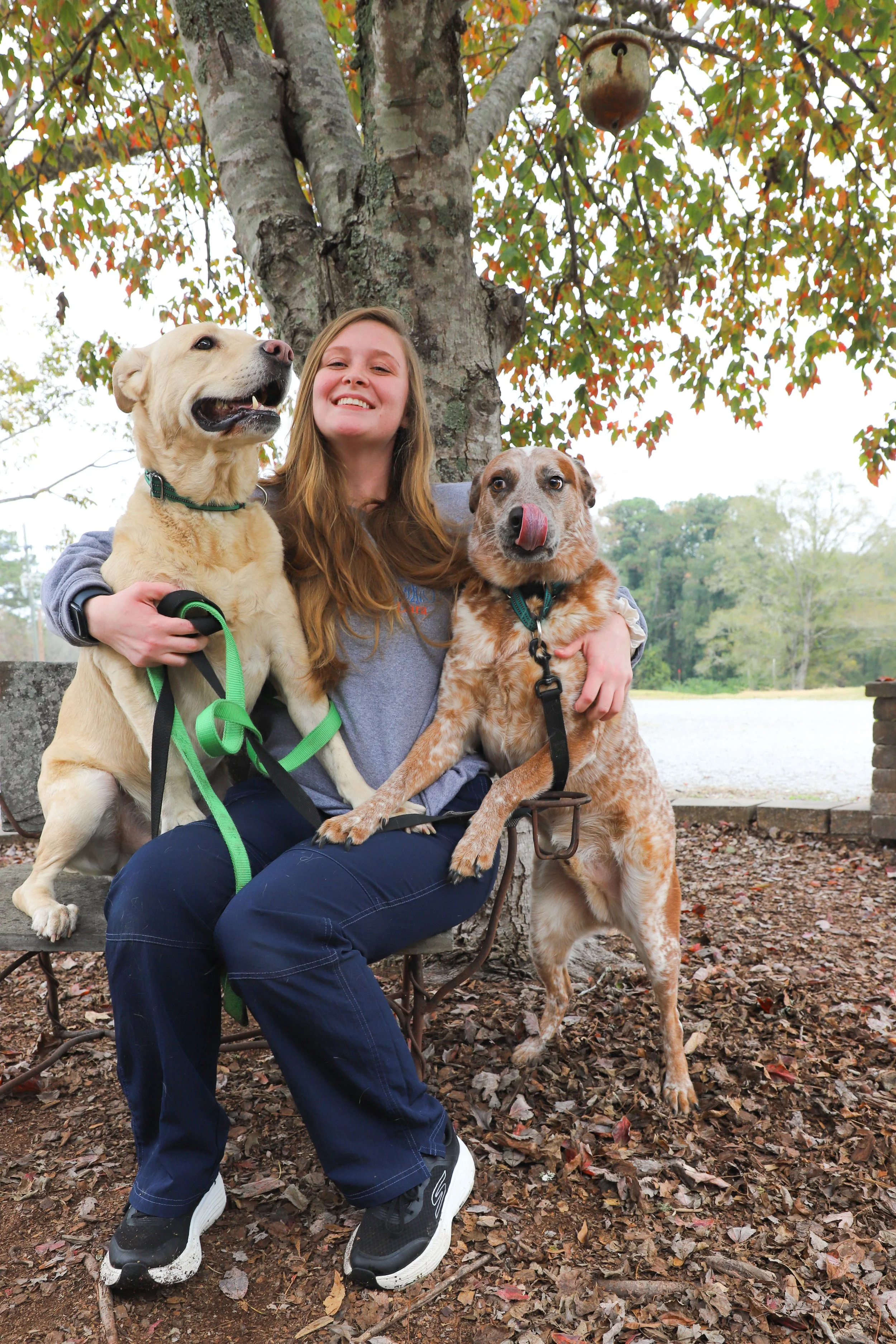 A young woman sitting on a bench outdoors with two dogs, one on each side. The woman is smiling, and one dog is licking its nose. Behind them is a tree with orange leaves.