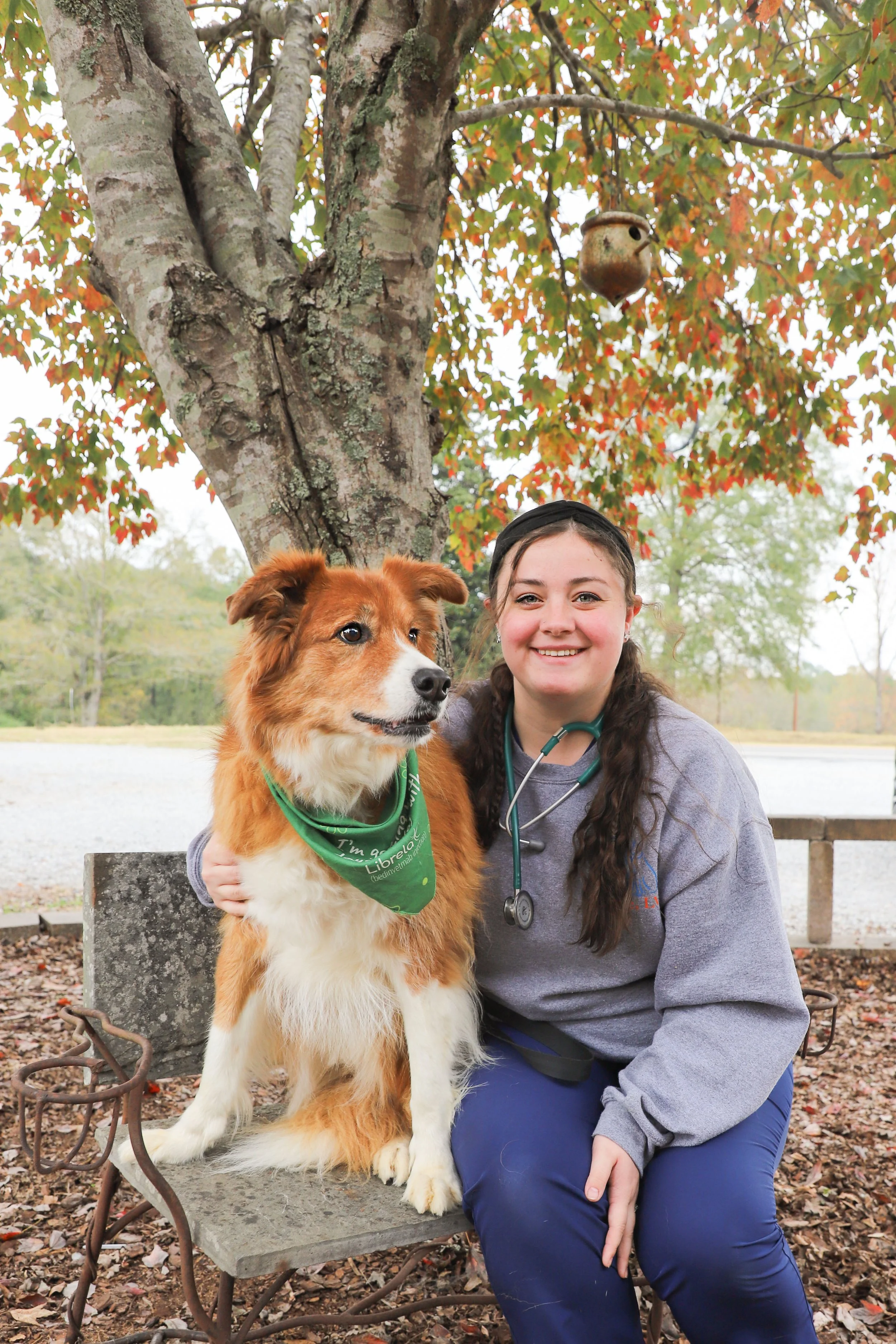 A young woman with a stethoscope around her neck sitting on a park bench with a brown and white dog wearing a green bandana, under a tree with orange and green leaves.