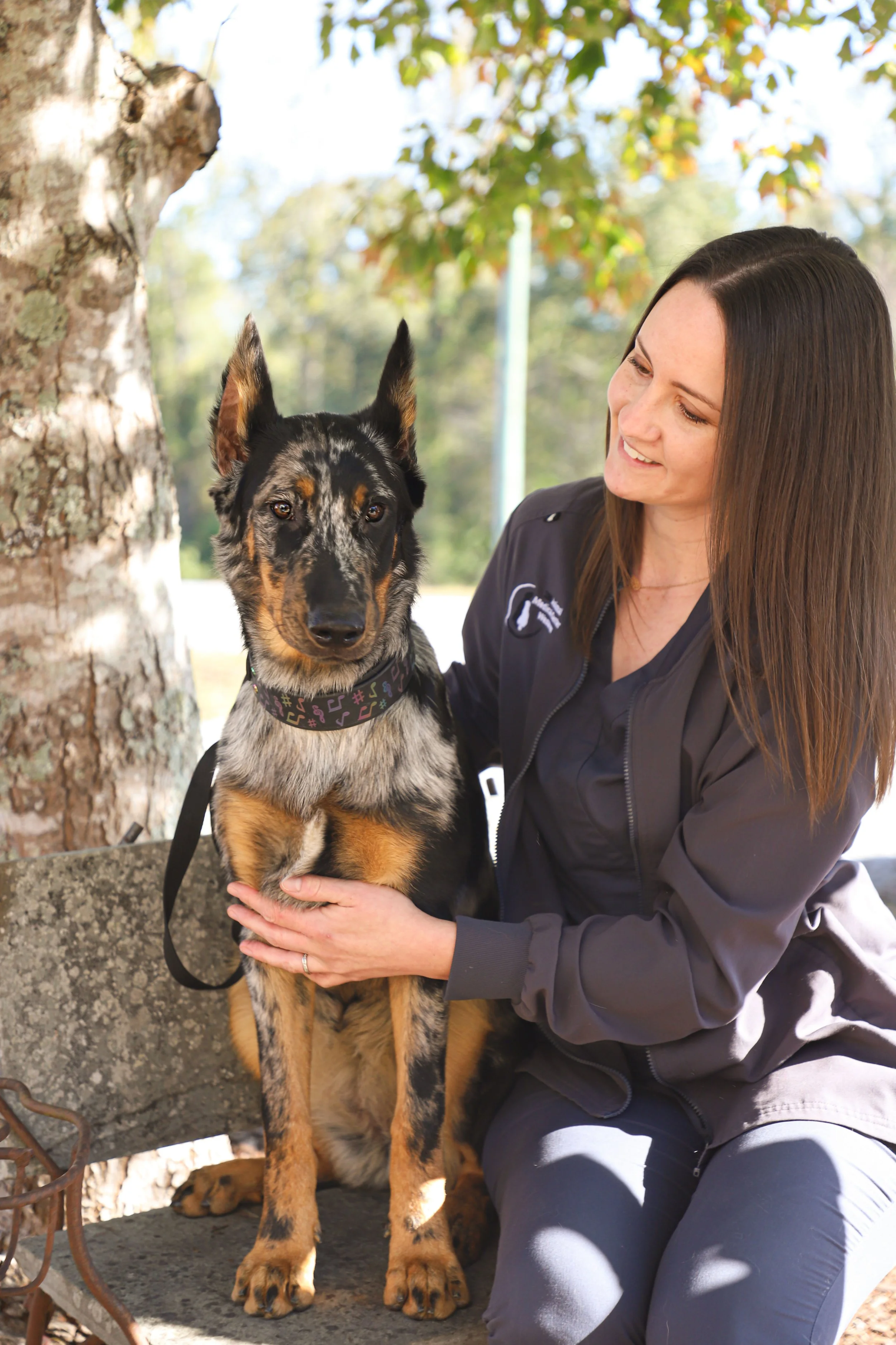 A woman with long brown hair, wearing a dark jacket, is sitting outdoors on a bench, holding a young black and tan Australian Shepherd dog with blue eyes. They are smiling and appear to be enjoying a sunny day near a tree.