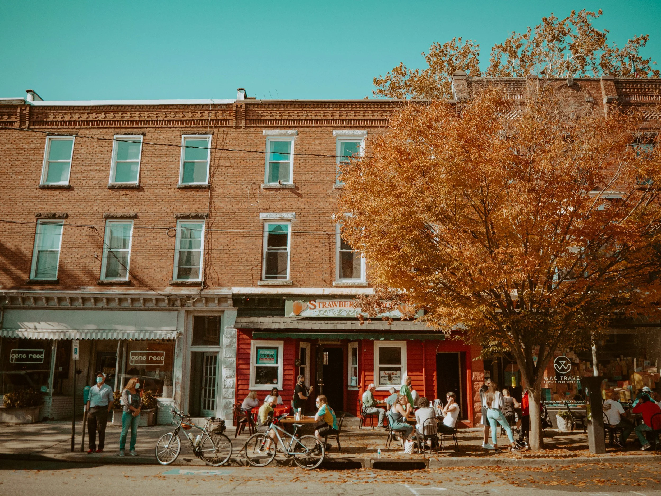 Street scene in autumn with people sitting outside a restaurant, large orange-leaved tree, bicycles parked, brick building with multiple windows, and blue sky.