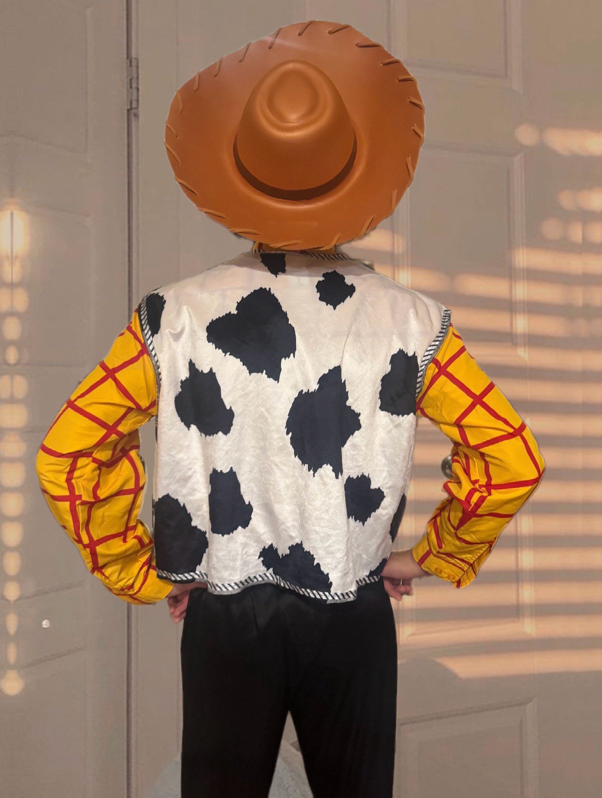 Person wearing a cowboy hat, a cow print vest, a yellow and red plaid shirt, and black pants, standing with hands on hips in front of a paneled wall.