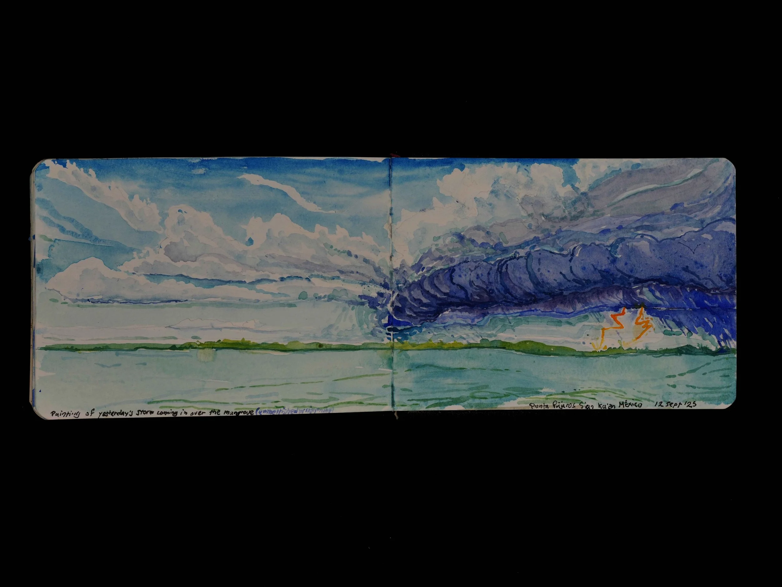Tormenta explorando Sian Ka'an. Watercolor on paper (2025). Sian Ka'an, Q. Roo, Mexico. 
