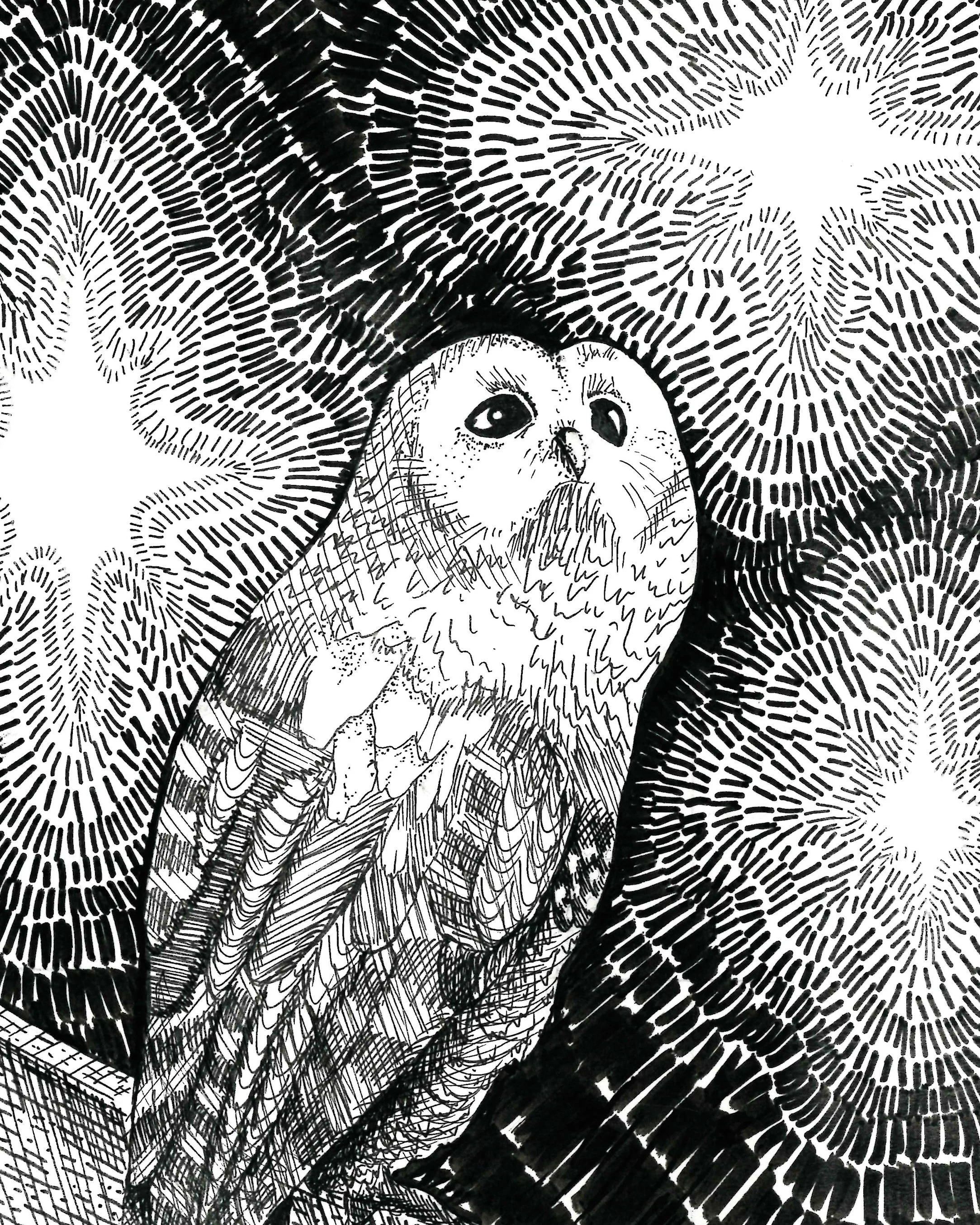 Broadside Illustration