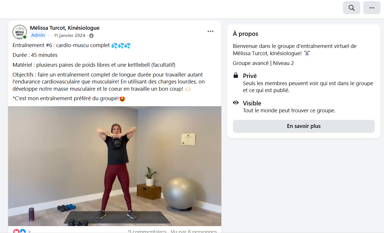 Femme en tenue de sport faisant un entraînement à la maison avec des haltères, un tapis de fitness, une balle de gym et une plante en arrière-plan.
