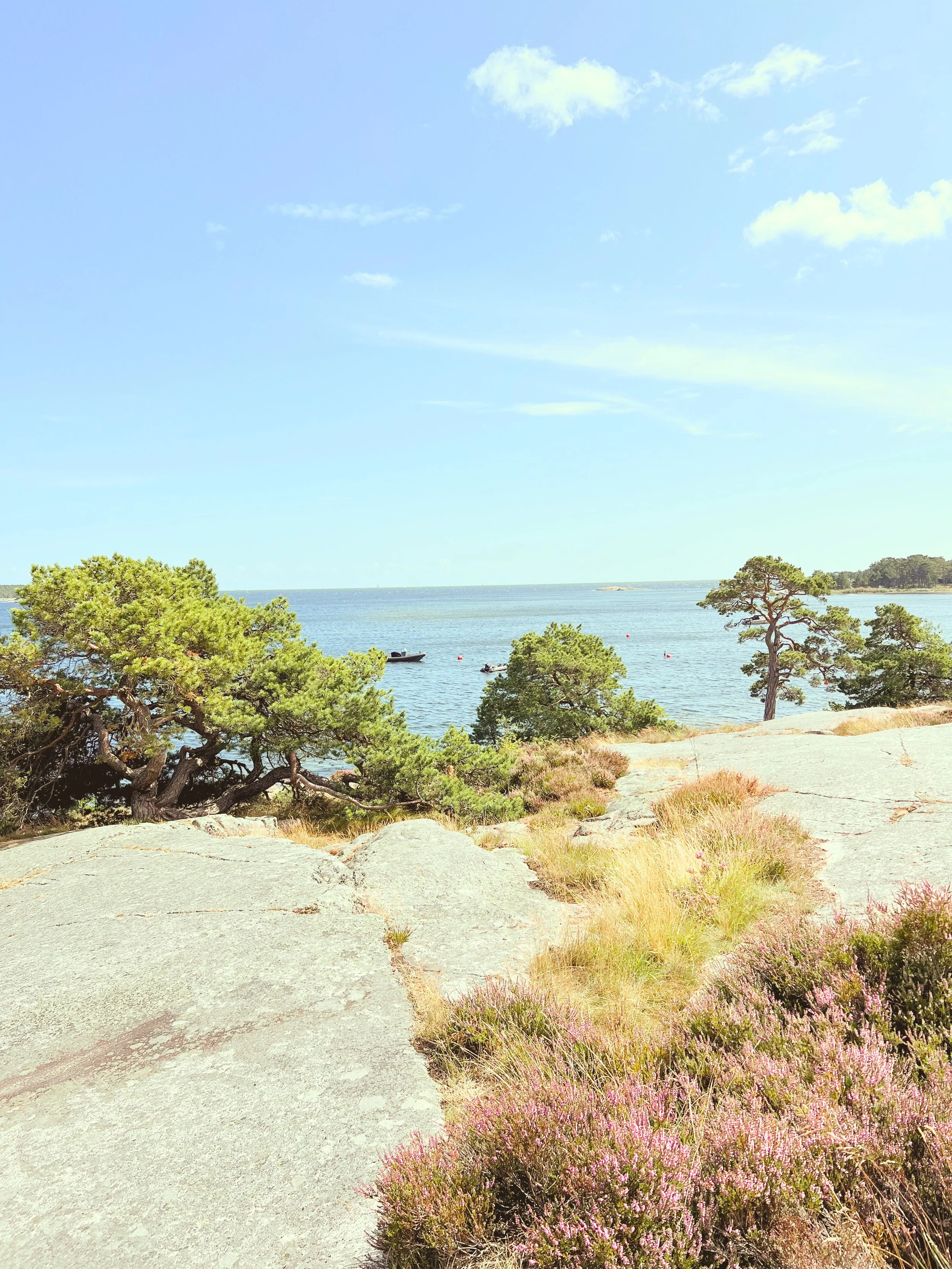 Scène de plage avec des arbres, des rochers et la mer sous un ciel bleu clair avec quelques nuages.