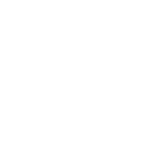 Icon of financial security with a shield, stacks of coins, a dollar sign, and a padlock.