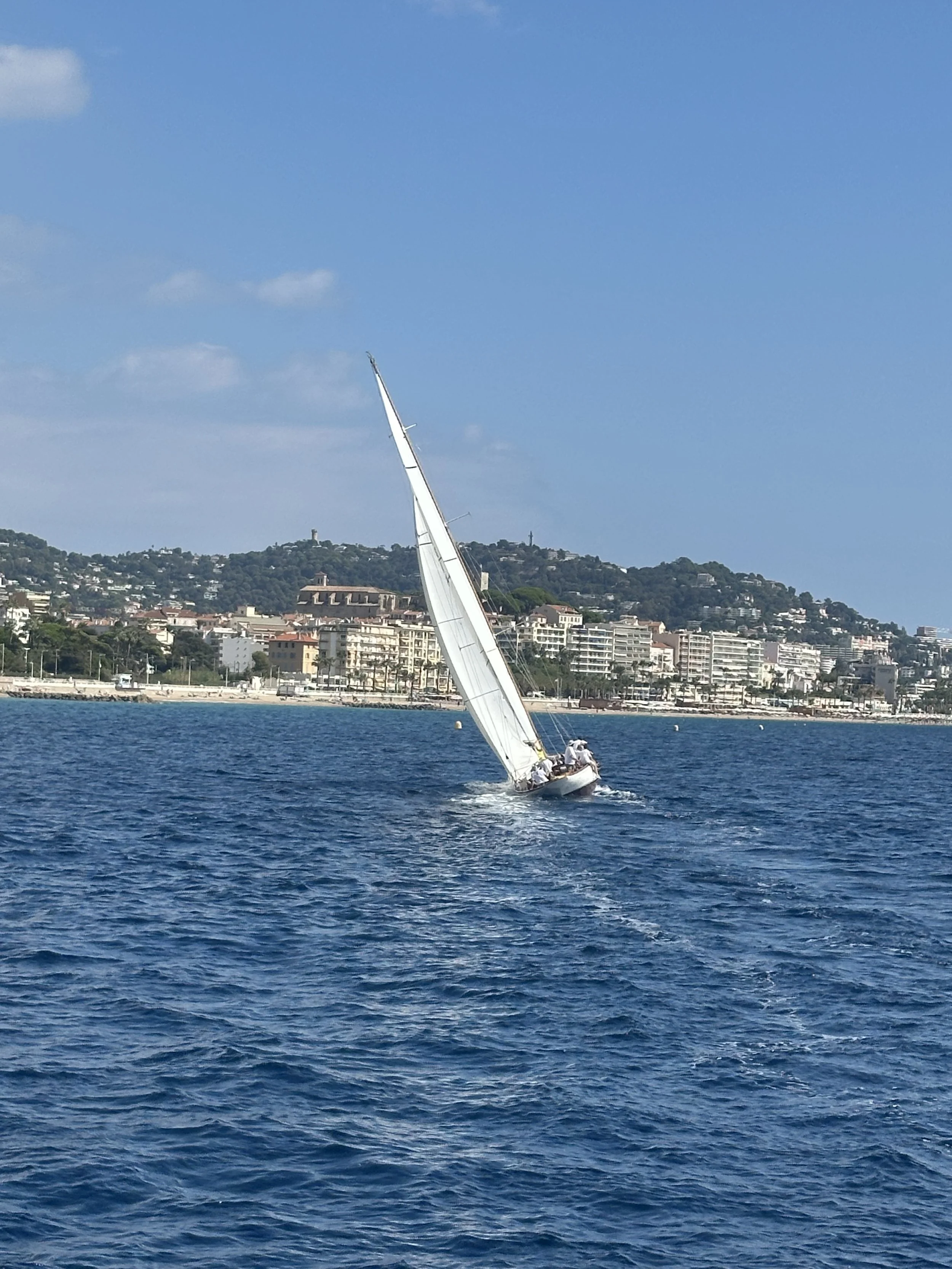 Vintage sailing yacht leaning into the wind as it races past the Cannes seafront and Le Suquet hill during the Régates Royales
