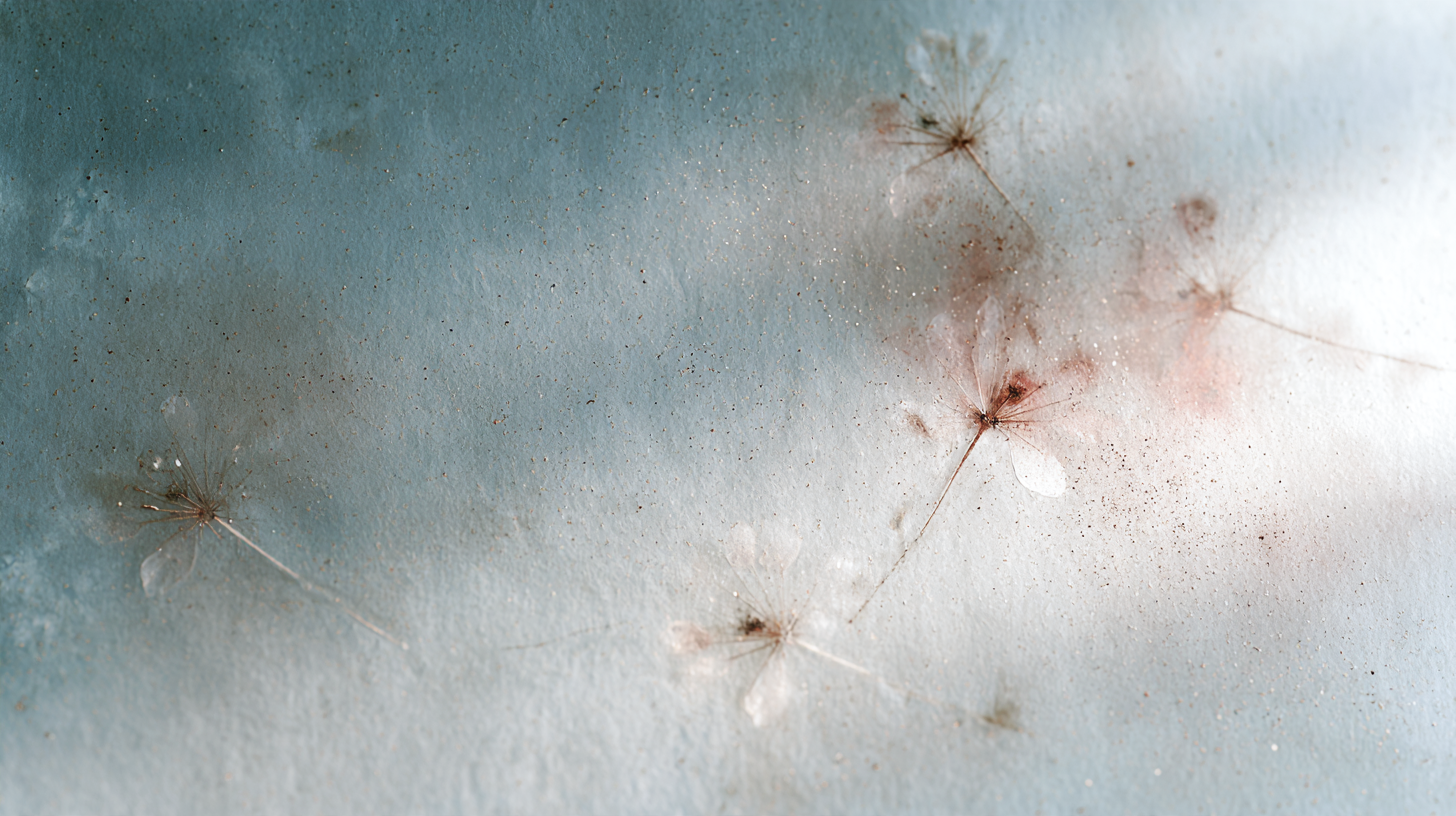 Delicate seed-like botanical forms are scattered across a softly textured pale blue and cream surface, with faint blush tones, tiny specks, and diffused light creating a soft, airy composition.