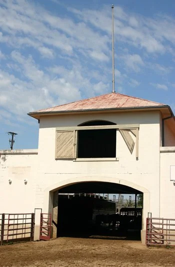 Are Non-Economic Damages Recoverable for The Death of a Pet or Animal? Ask Texas Outside General Counsel