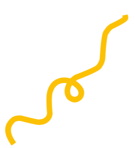 Yellow shoelace on a black background.