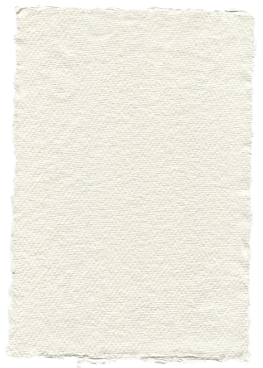 A blank, cream-colored piece of textured paper with torn edges.