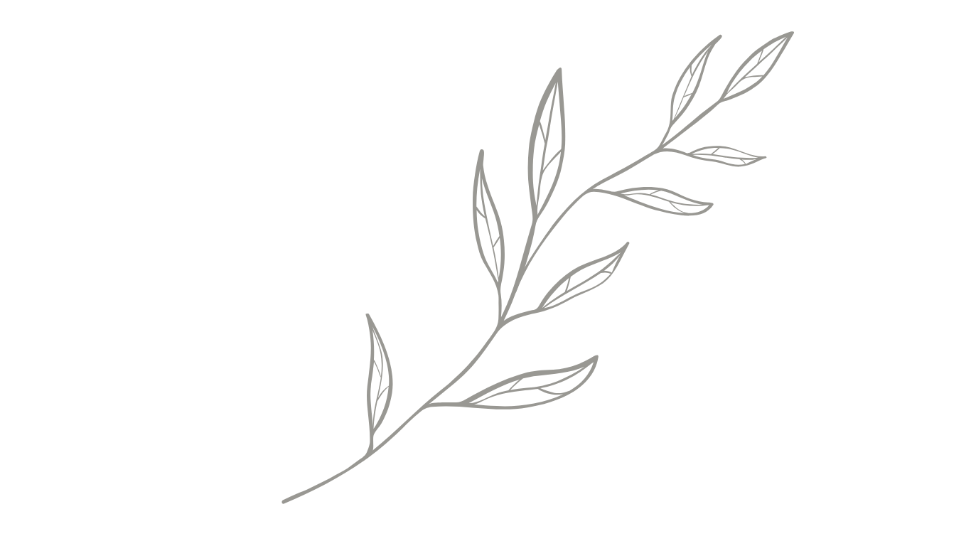 A simple, minimalistic line drawing of a leafy branch with multiple slender leaves.