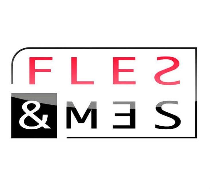 The image shows a mirror with the words 'FLEX & MES' written on it, with some text reflected backwards.