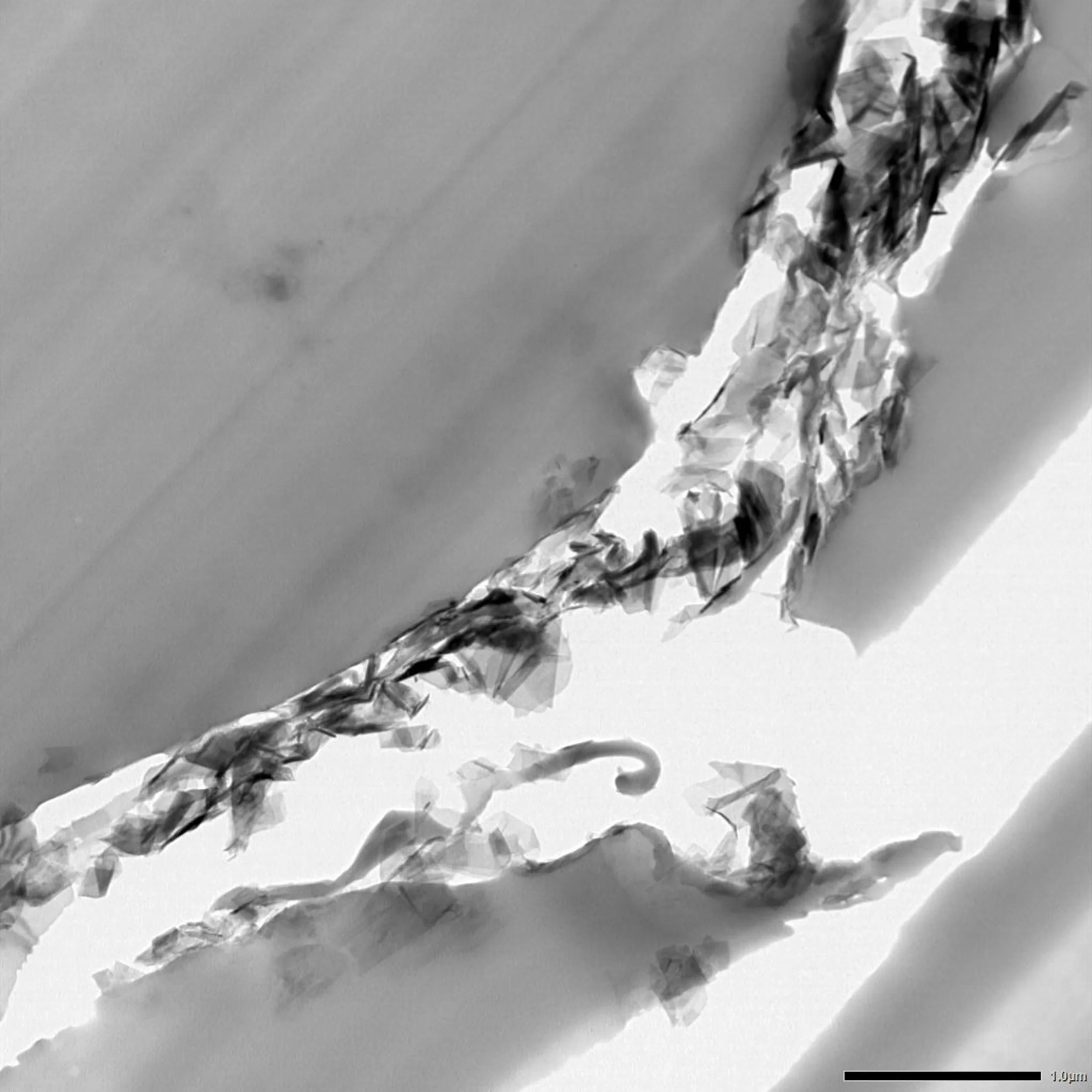 Crack propagates along aligned chain