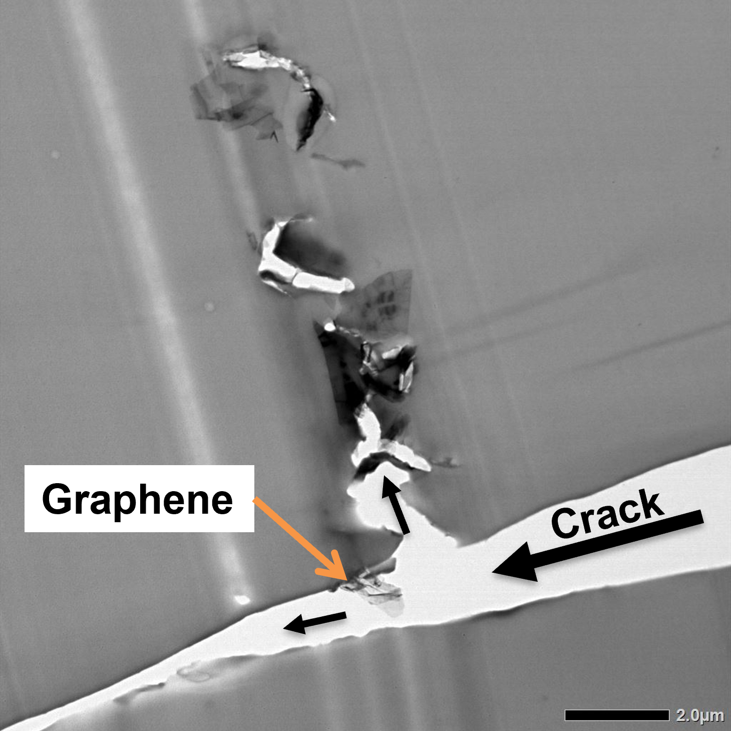 Crack Deflection upon contact with Graphene
