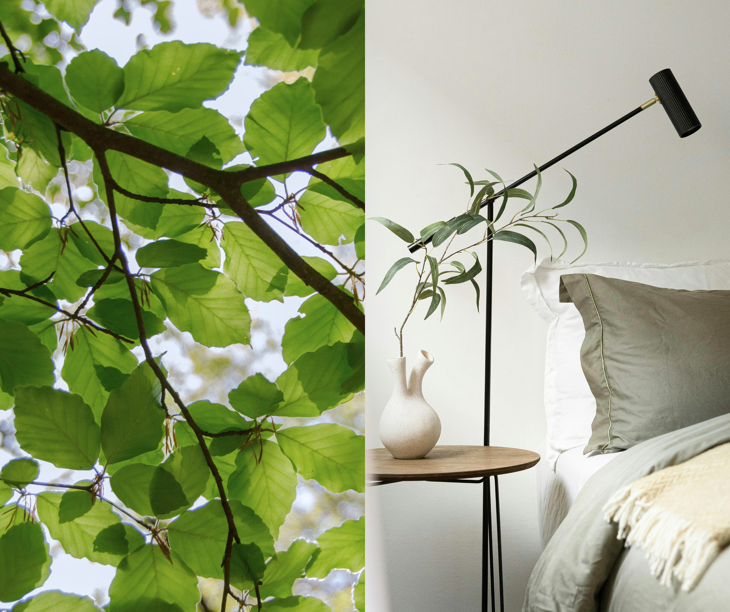 Une image divisée en deux parties: à gauche, des feuilles vertes d'arbres vues du dessous, laissant passer la lumière du ciel; à droite, un coin de chambre avec un lit, un miroir au plafond, une plante en pot blanche sur une table en bois, et un mur blanc.