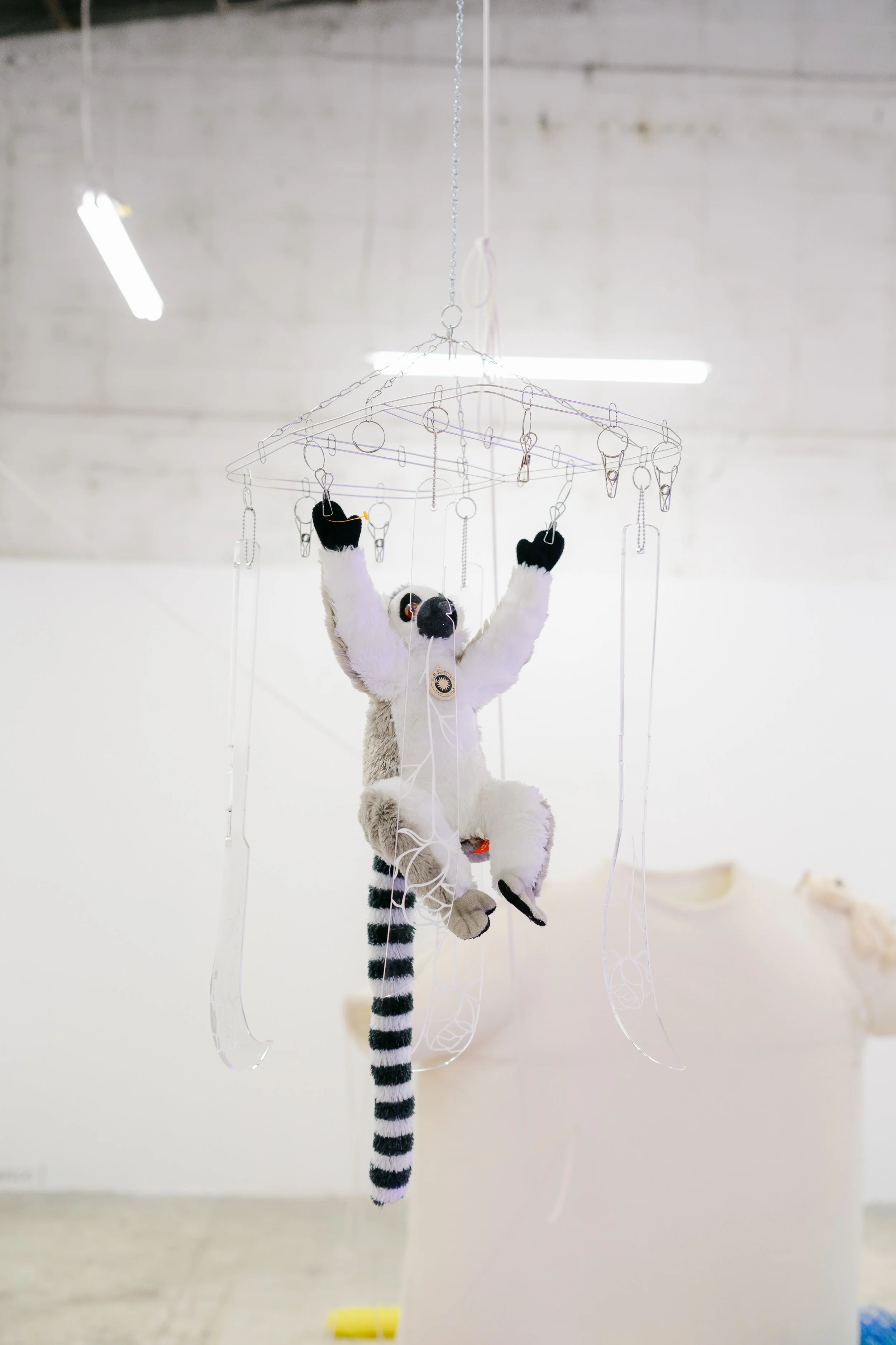 EN POCAS PALABRAS - EAB 2025-35.jpg