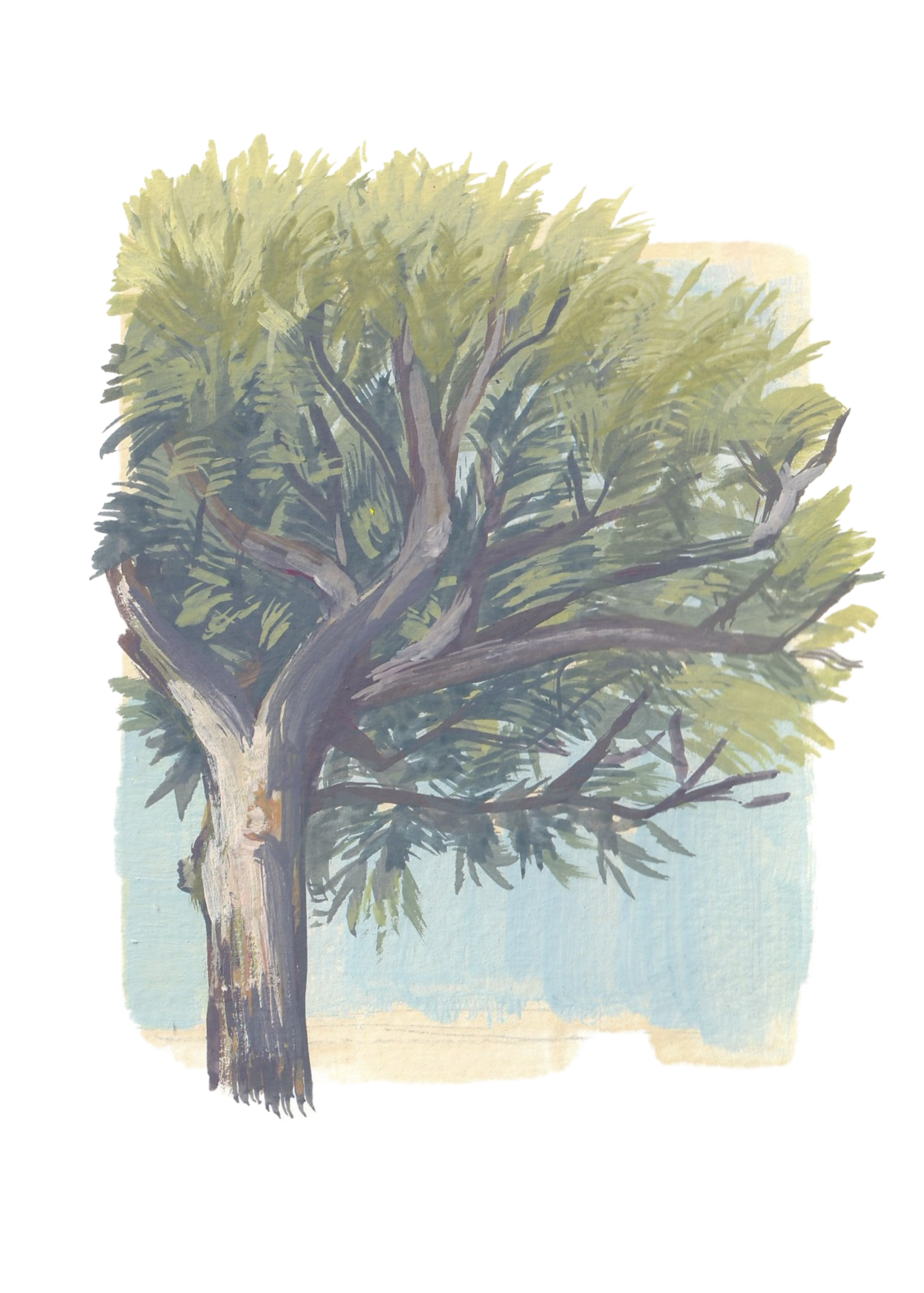 Taller: Gouache al aire libre 