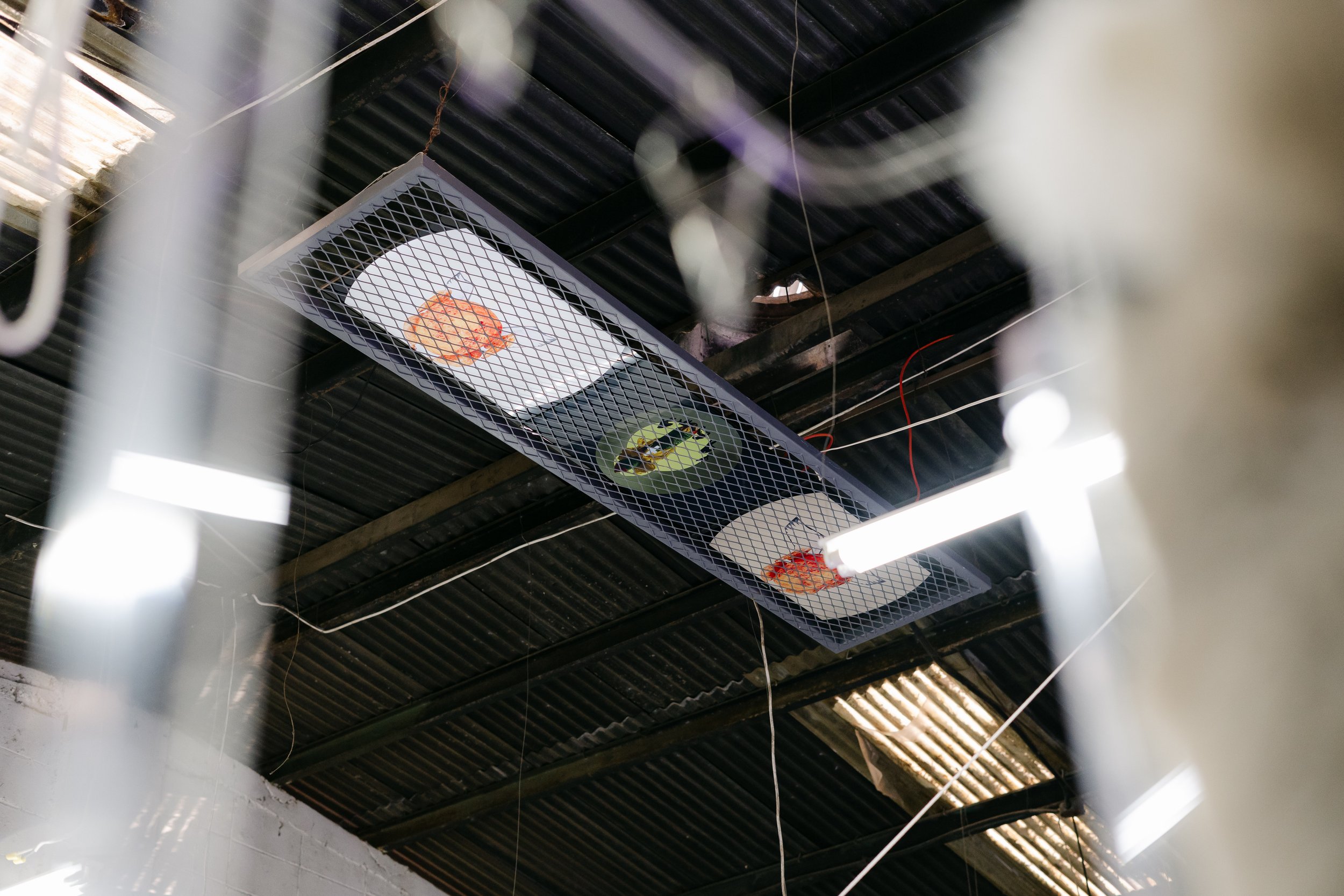 EN POCAS PALABRAS - EAB 2025-47.jpg