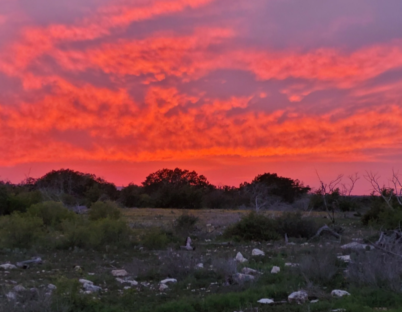 sunset.png