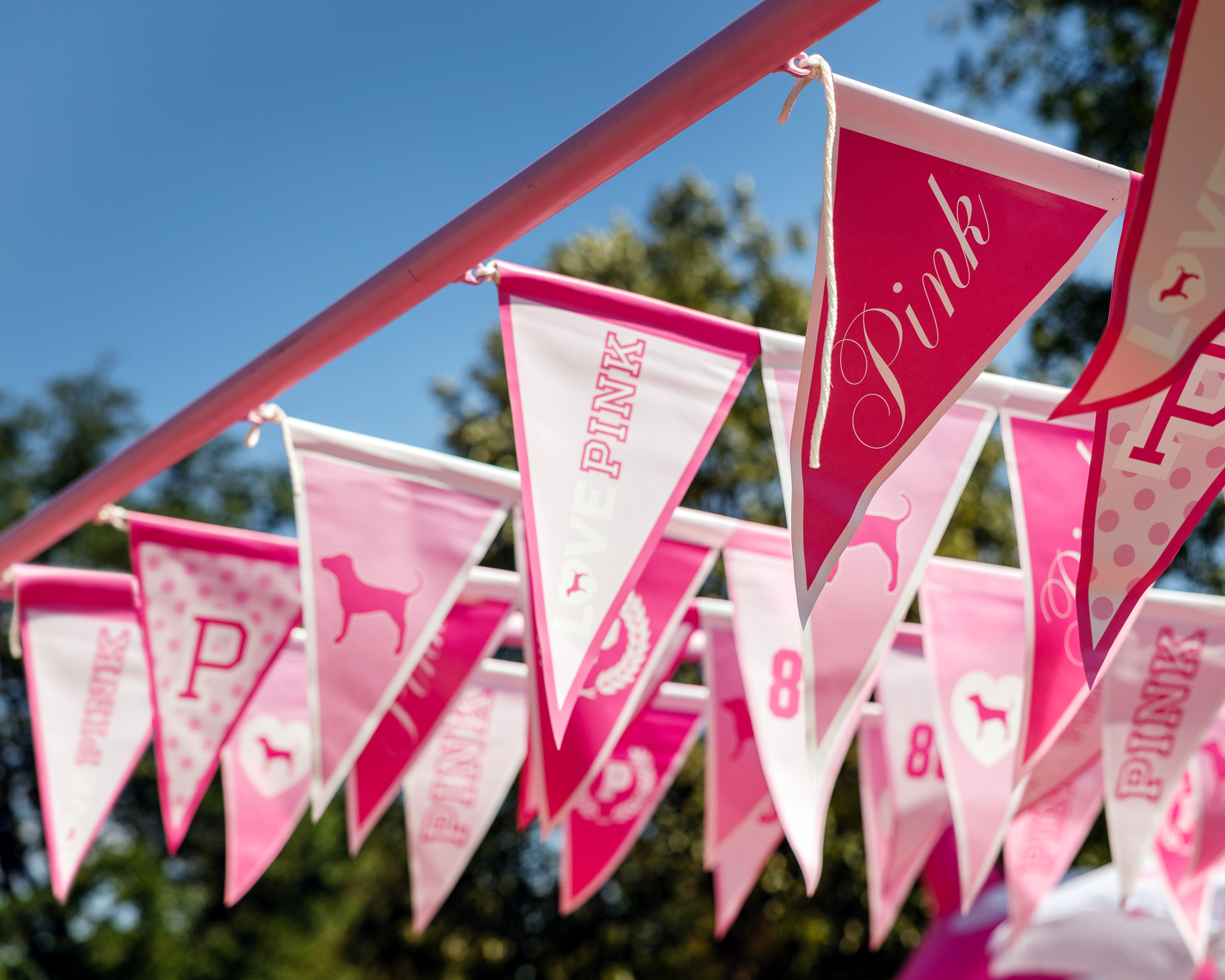 VS_Pink_OKC_HONG_1472_LO.png