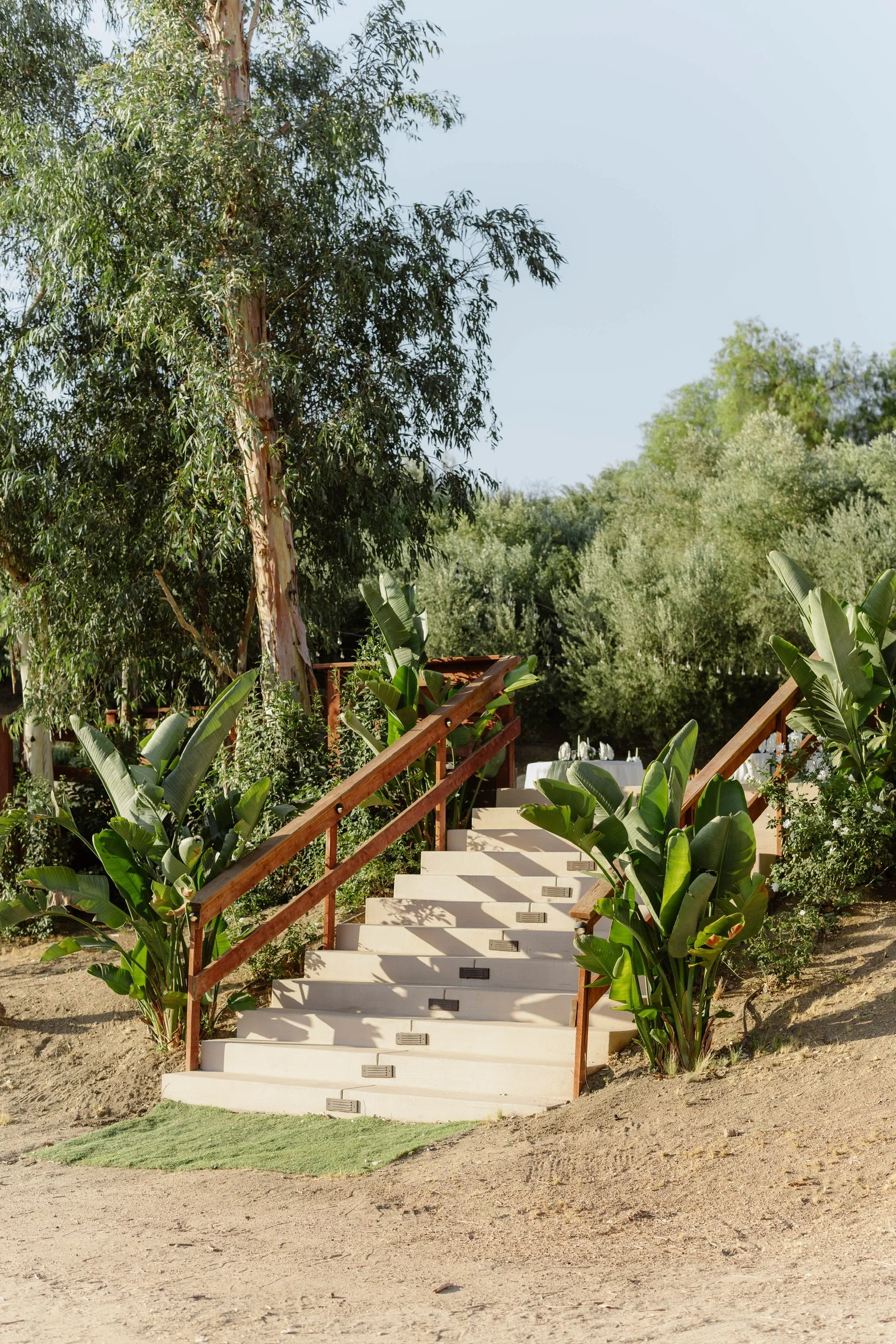 Concrete outdoor staircase with wooden handrails, surrounded by lush green plants and trees, leading to a higher level in a garden or park setting.