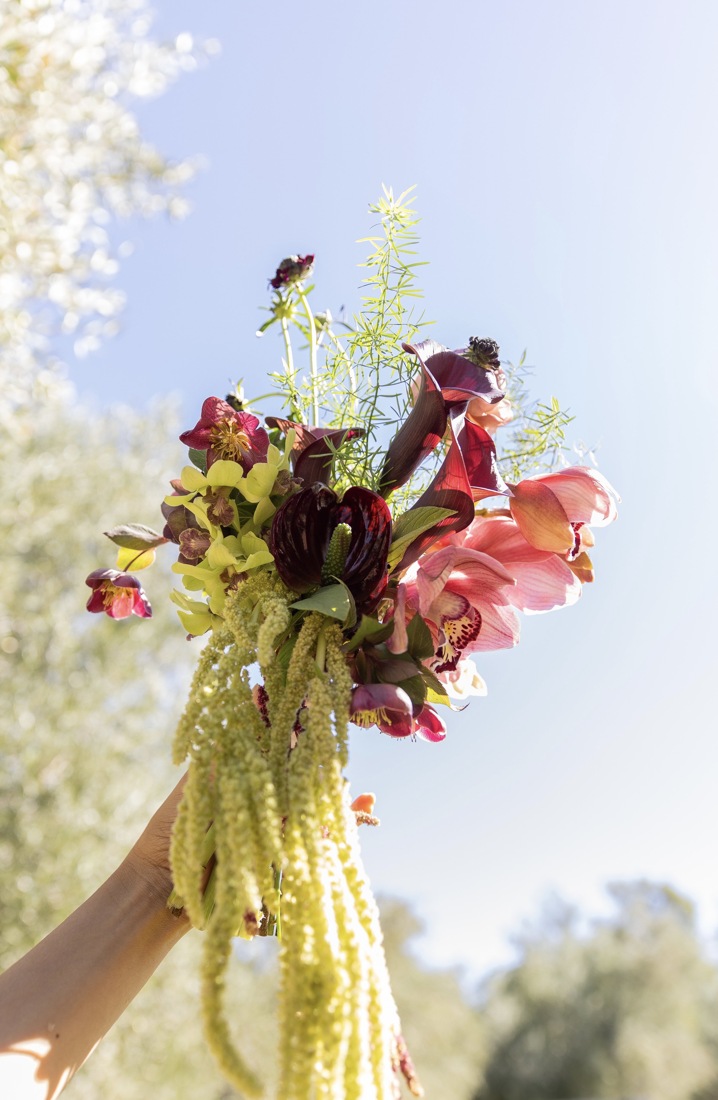 Flower bouquet with a blue sky in background at Monarca Ranch