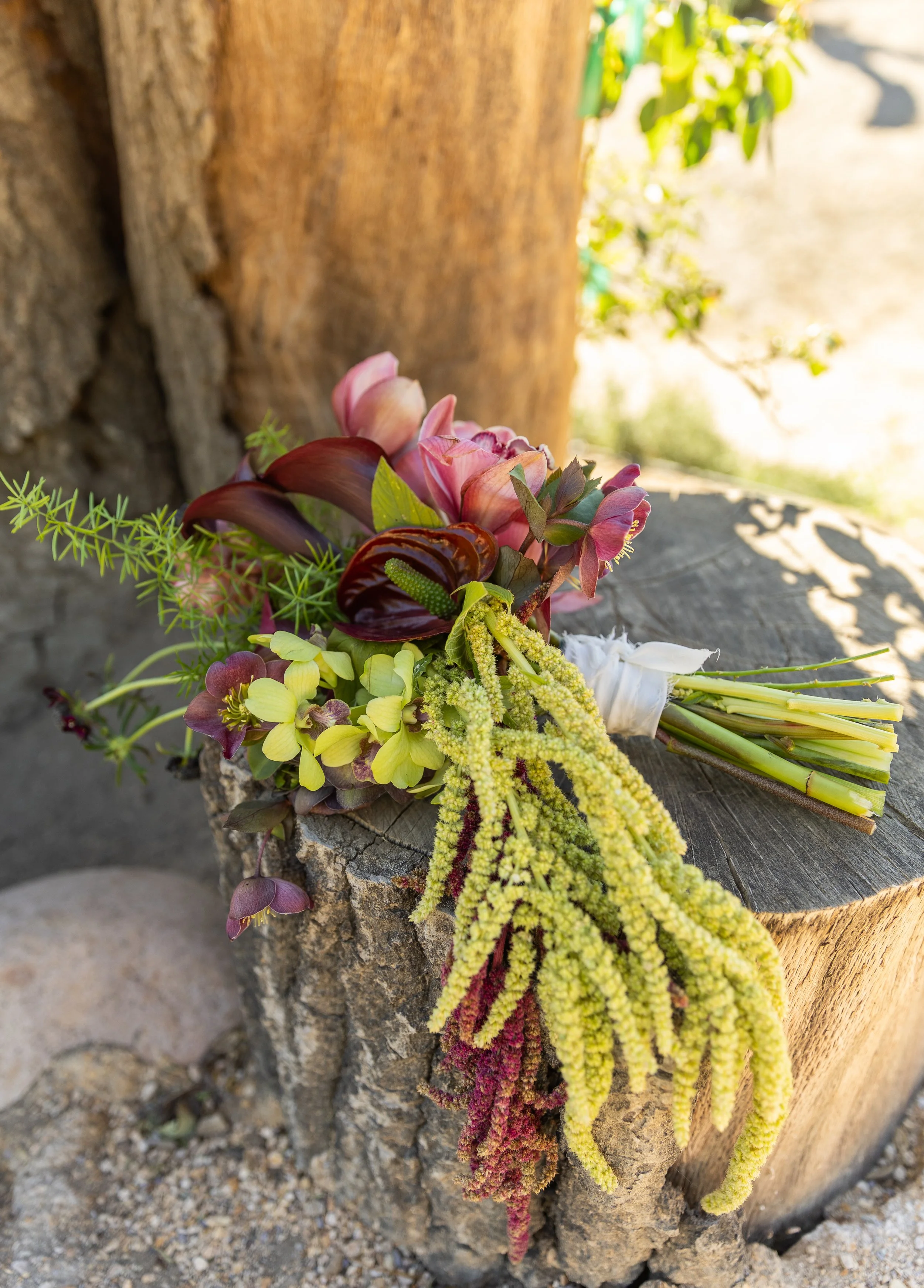 Bouquet of mixed flowers resting on a tree stump outdoors, with blurred background and sunlight.
