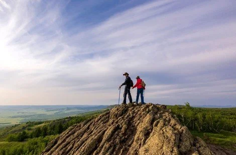 What Is Precision Medicine And How Does It Differ From Functional Medicine?