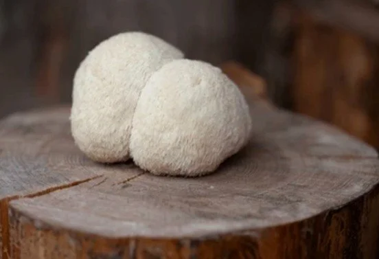 Can Fungal Infections Cause Cognitive Decline?