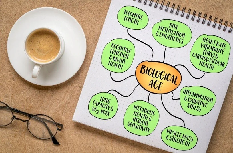 What Is Inflammaging — and How Does It Affect Brain Health?