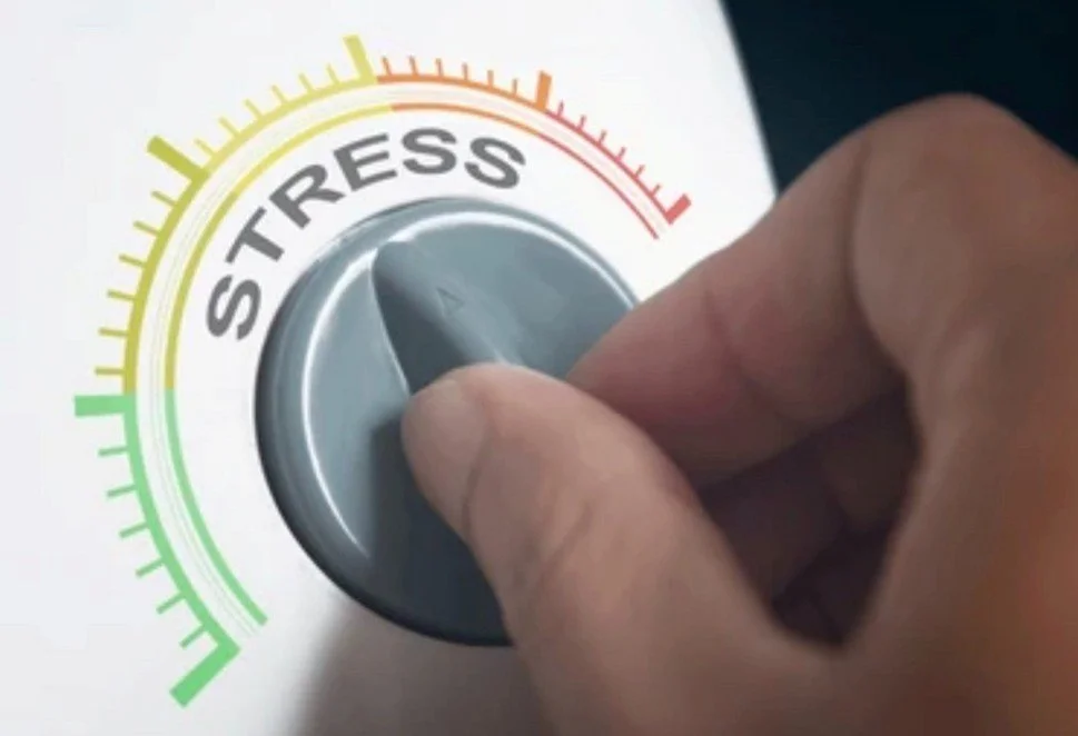 How Does Stress Accelerate Brain Aging (and How to Reverse It)?