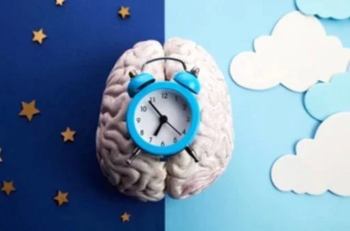 Image of a brain with a blue alarm clock on top, divided between nighttime stars and daytime clouds, symbolizing how sleep cycles support brain detox and memory repair. Used by Dr. Jessica Knape of HealthSpan Internal Medicine in Boulder, CO