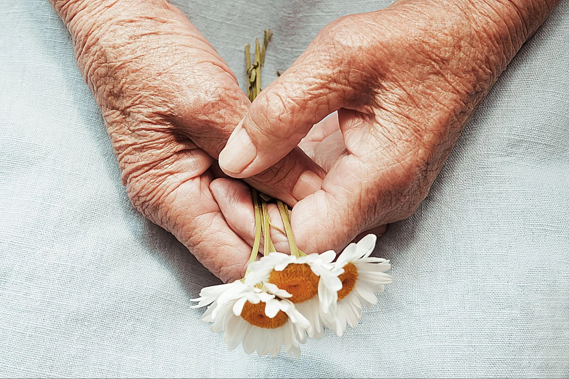 Elder person holding daisies are Alzheimers disease and Dementia the same thing by Dr Jessica Knape at Healthspan Internal medicine in Boulder CO.jpg