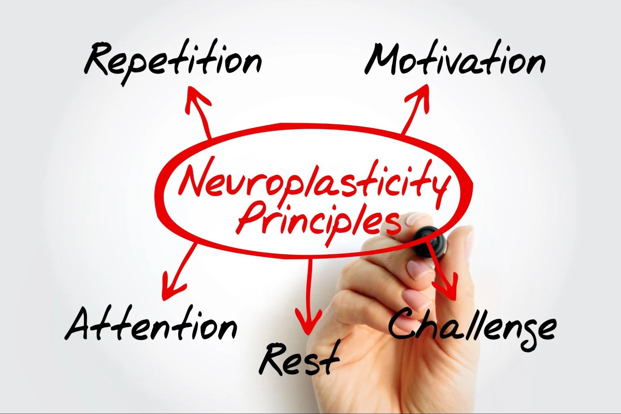 Star graphic for neuroplasticity principles for blog about can dementia be slowed or reversed with neuroplasticity. Image used by Dr. Jessica Knape of HealthSpan Internal Medicine in Boulder, CO.jpg