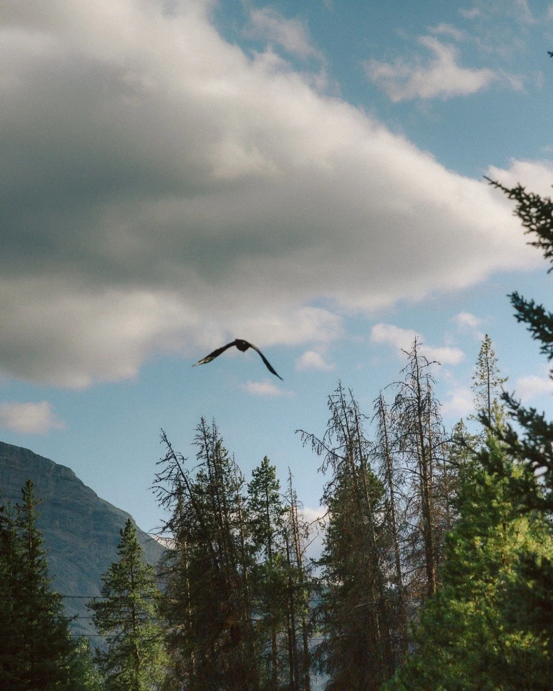 That afternoon, we wandered along the lakeside.
Mountain's reflection, their silhouettes, my lens.

Life can be messy and loud, but having someone who can always make you laugh. These simple walks become the most genuine kind of beauty. 

#candidmome