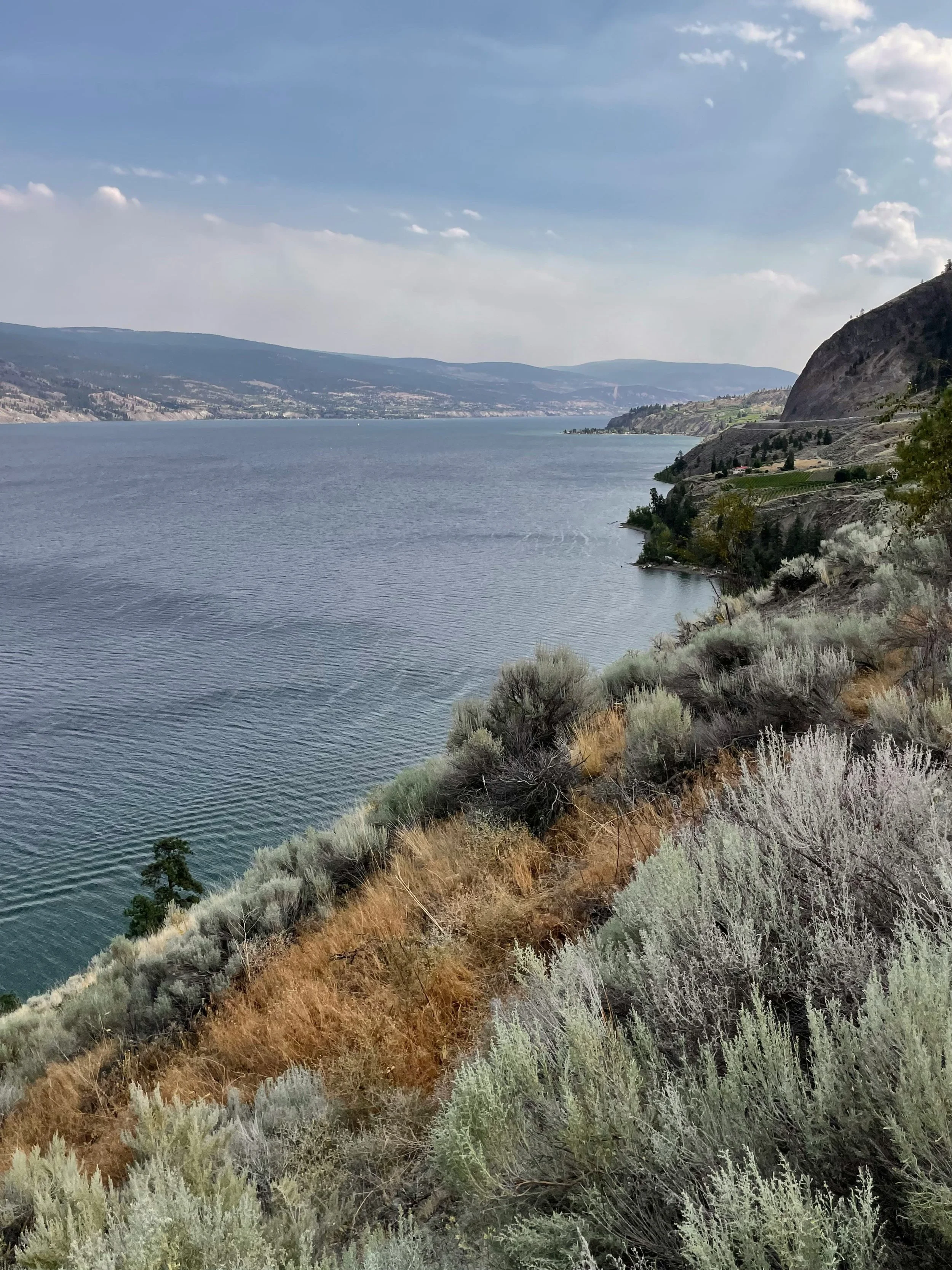 A large body of water, possibly a lake, with a distant shoreline and hills in the background, viewed from a rocky and shrub-covered hillside during daytime with a partly cloudy sky.