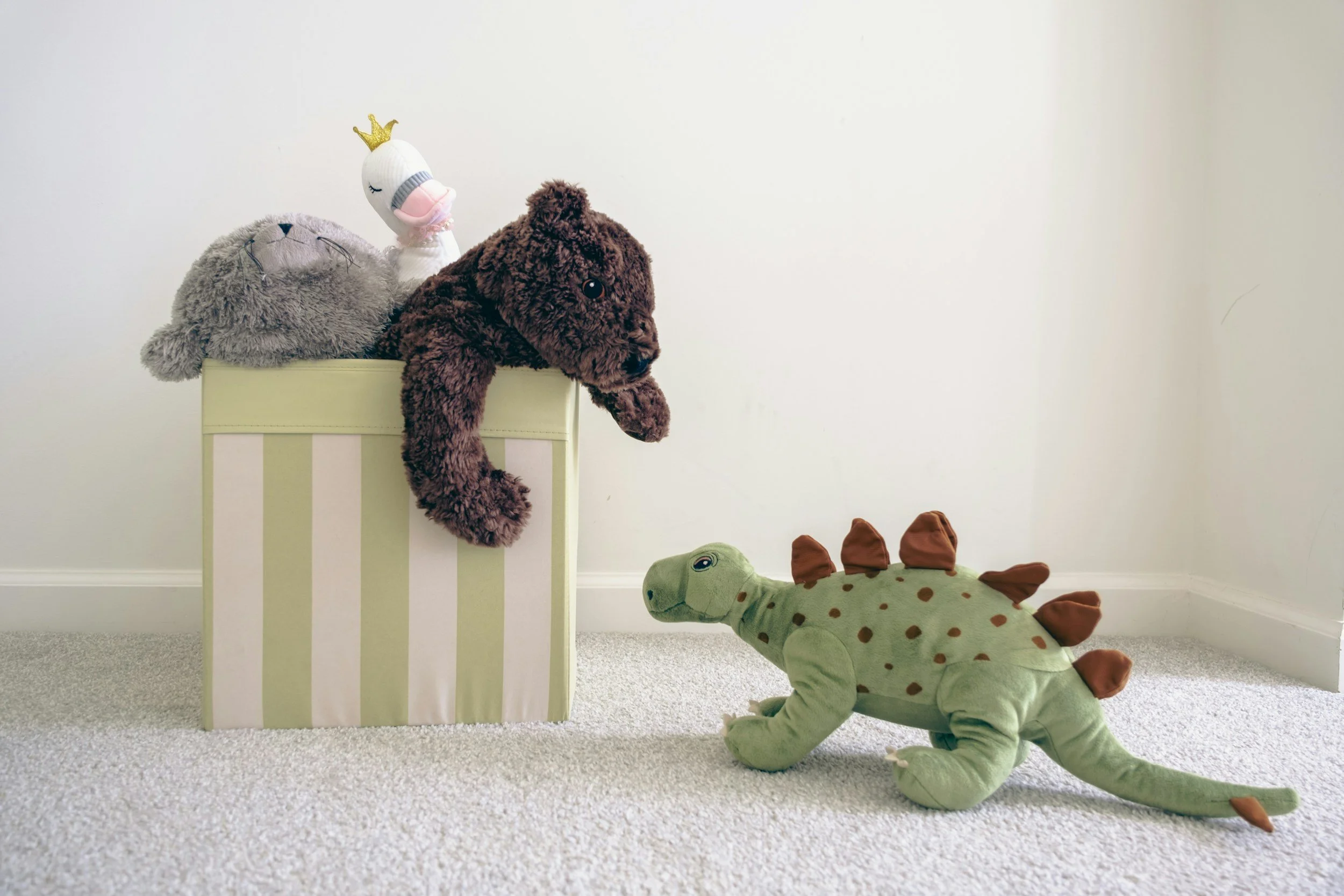 Stuffed dinosaur and bear coming out of a box