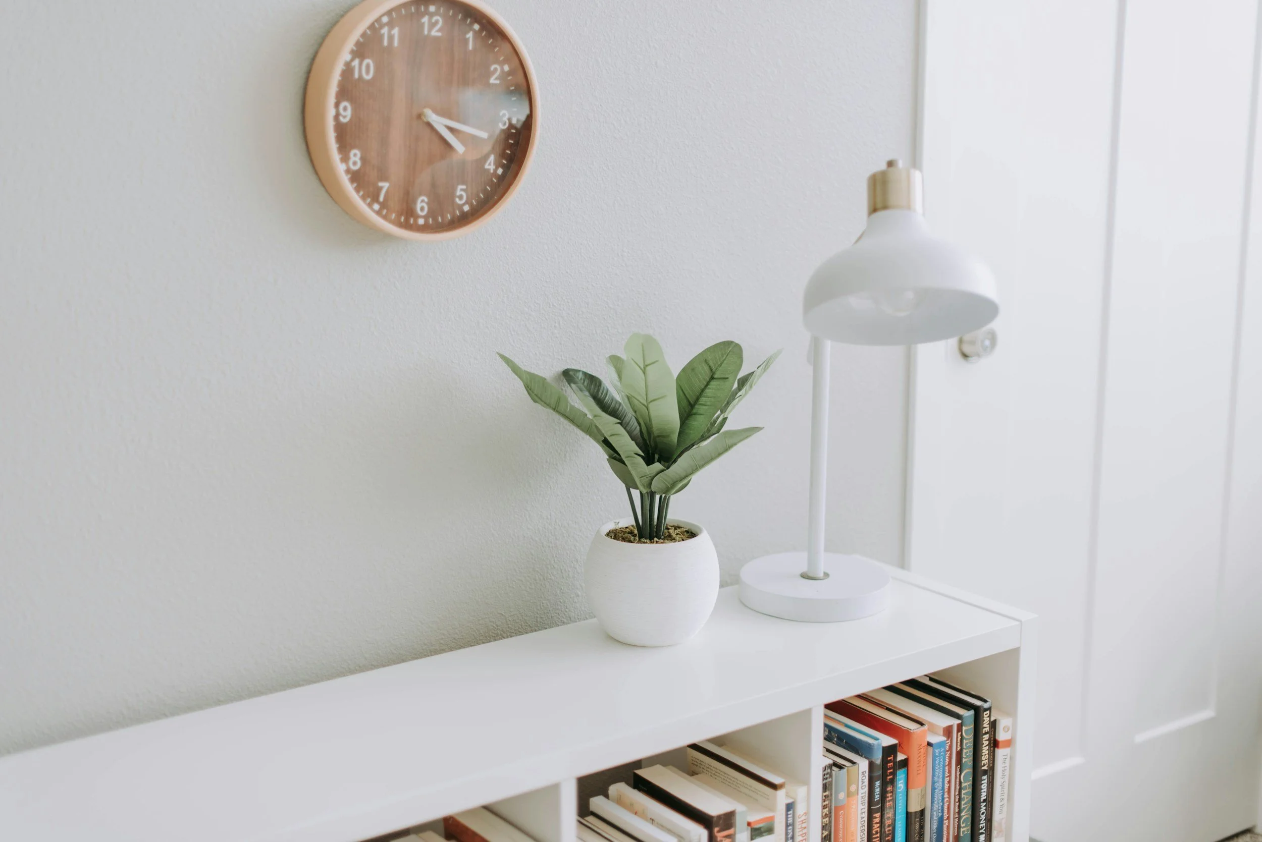 white booksehfl with plant and white lamp