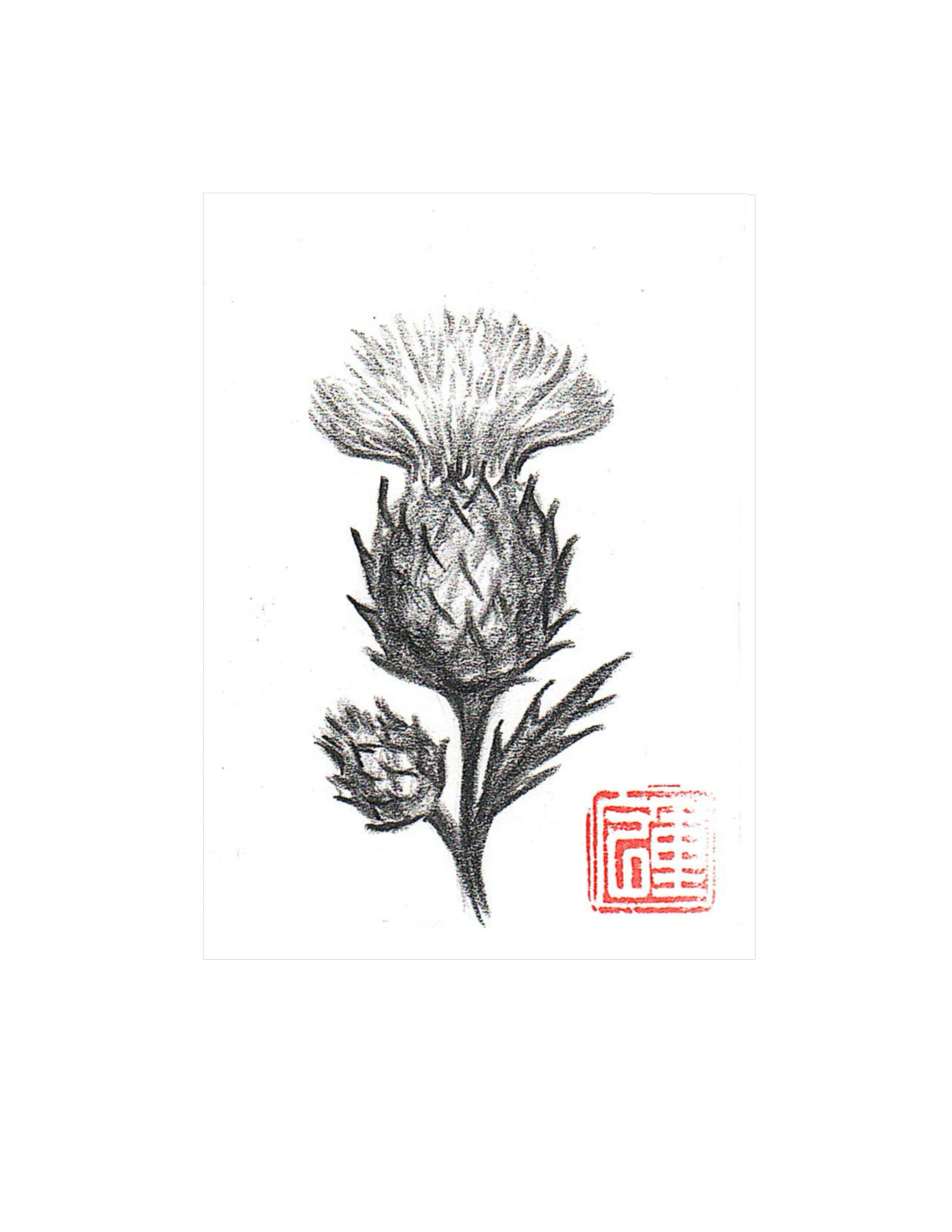Thistle