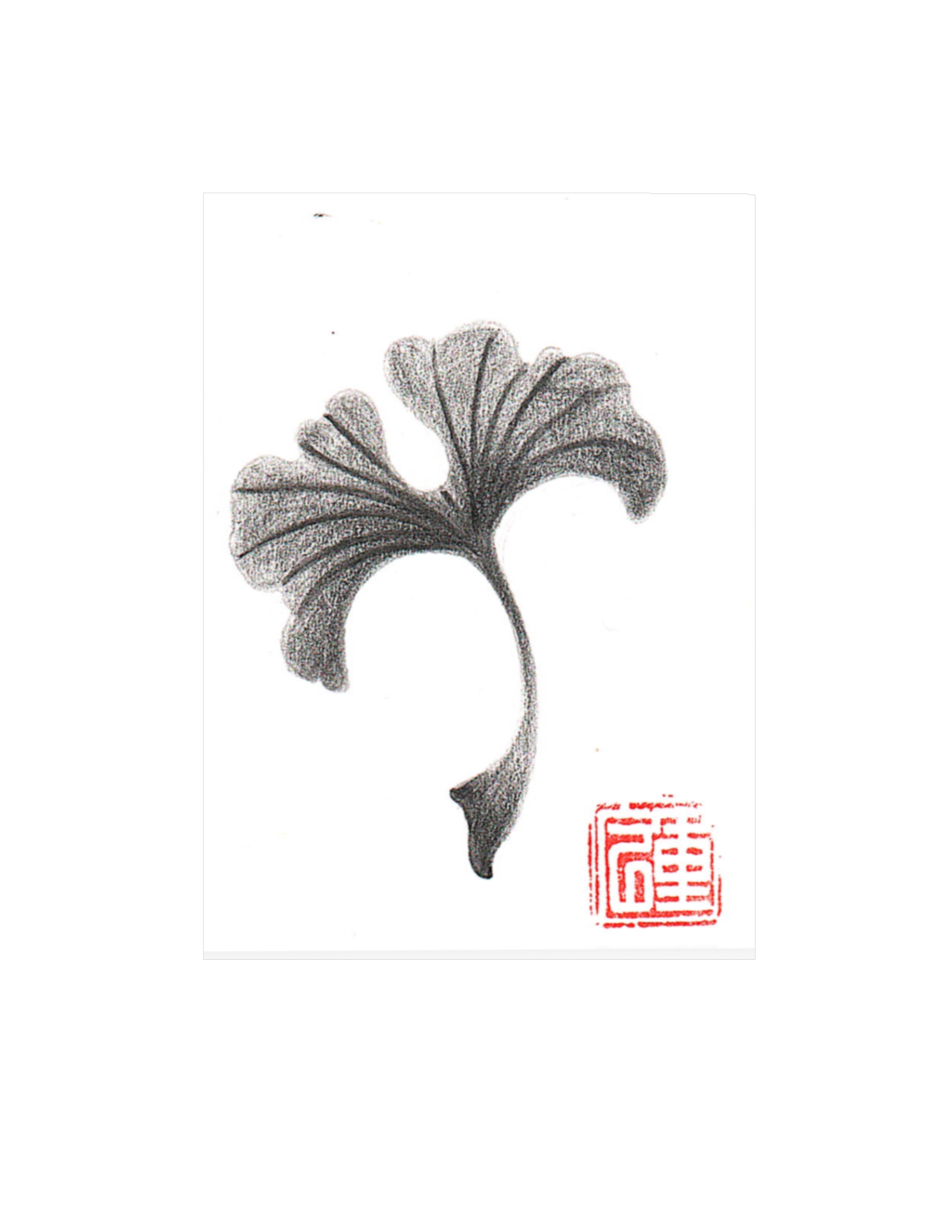 Ginkgo
