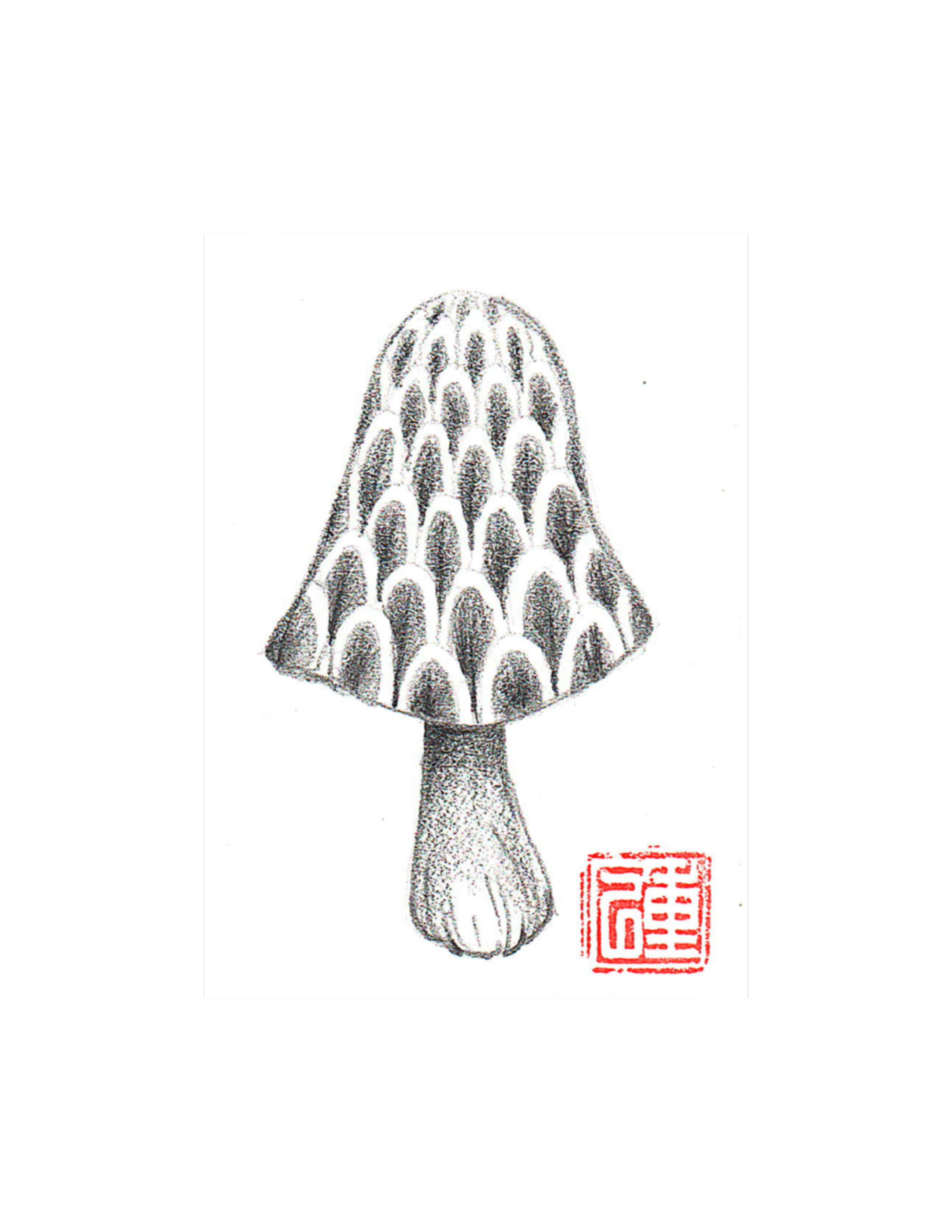 Scale Mushroom